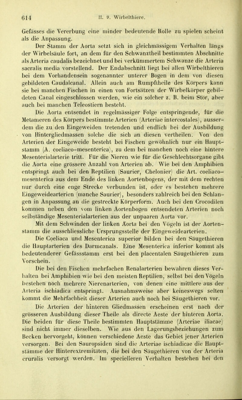 Gefässes die Vererbung eine minder bedeutende Rolle zu spielen scheint als die Anpassung. Der Stamm der Aorta setzt sich in gleichmässigem Verhalten längs der Wirbelsäule fort, an dem für den Schwanztheil bestimmten Abschnitte als Arteria caudalis bezeichnet und bei verkümmertem Schwänze die Arteria sacralis media vorstellend. Der Endabschnitt liegt bei allen Wirbelthieren bei dem Vorhandensein sogenannter unterer Bogen in dem von diesen gebildeten Caudalcanal. Allein auch am Rumpftheile des Körpers kann sie bei manchen Fischen in einen von Fortsätzen der Wirbelkörper gebil- deten Canal eingeschlossen werden, wie ein solcher z. B. beim Stör, aber auch bei manchen Teleostiern besteht. Die Aorta entsendet in regelmässiger Folge entspringende, für die Metameren des Körpers bestimmte Arterien (Arteriae intercostales), ausser- dem die zu den Eingeweiden tretenden und endlich bei der Ausbildung von Hintergliedmassen solche die sich an diesen vertheilen. Von den Arterien der Eingeweide besteht bei Fischen gewöhnlich nur ein Haupt- stamm (A. coeliaco-mesenterica), zu dem bei manchen noch eine hintere Mesenlerialarlerie tritt. Für die Nieren wie für die Geschlechtsorgane gibt die Aorta eine grössere Anzahl von Arterien ab. Wie bei den Amphibien entspringt auch bei den Reptilien (Saurier, Ghelonier) die Art. coeliaco- mesenterica aus dem Ende des linken Aortenbogens, der mit dem rechten nur durch eine enge Strecke verbunden ist, oder es bestehen mehrere Eingeweidearterien (manche Saurier), besonders zahlreich bei den Schlan- gen in Anpassung an die gestreckte Körperform. Auch bei den Crocodilen kommen neben den vom linken Aortenbogen entsendeten Arterien noch selbständige Mesenterialarterien aus der unpaaren Aorta vor. Mit dem Schwinden der linken Aorta bei den Vögeln ist der Aorten- stamm die ausschliessliche Ursprungsstelle der Eingeweidearterien. Die Coeliaca und Mesenterica superior bilden bei den Säugethieren die Hauptarterien des Darmcanals. Eine Mesenterica inferior kommt als bedeutenderer Gefässstamm erst bei den placentalen Säugethieren zum Vorschein. Die bei den Fischen mehrfachen Renalarterien bewahren dieses Ver- halten bei Amphibien wie bei den meisten Reptilien, selbst bei den Vögeln bestehen noch mehrere Nierenarterien, von denen eine mittlere aus der Arleria ischiadica entspringt. Ausnahmsweise aber keineswegs seilen kommt die Mehrfachheit dieser Arterien auch noch bei Säugethieren vor. Die Arterien der hinteren Gliedmassen erscheinen erst nach der grösseren Ausbildung dieser Theile als directe Aeste der hinteren Aorta. Die beiden für diese Theile bestimmten Hauptstämme (Arteriae iliacae) sind nicht immer dieselben. Wrie aus den Lagerungsbeziehungen zum Becken hervorgeht, können verschiedene Aeste das Gebiet jener Arterien versorgen. Bei den Sauropsiden sind die Arteriae ischiadicae die Haupt- stämme der Hinterextremitäten, die bei den Säugethieren von der Arleria cruralis versorgt werden. Im specielleren Verhalten bestehen bei den
