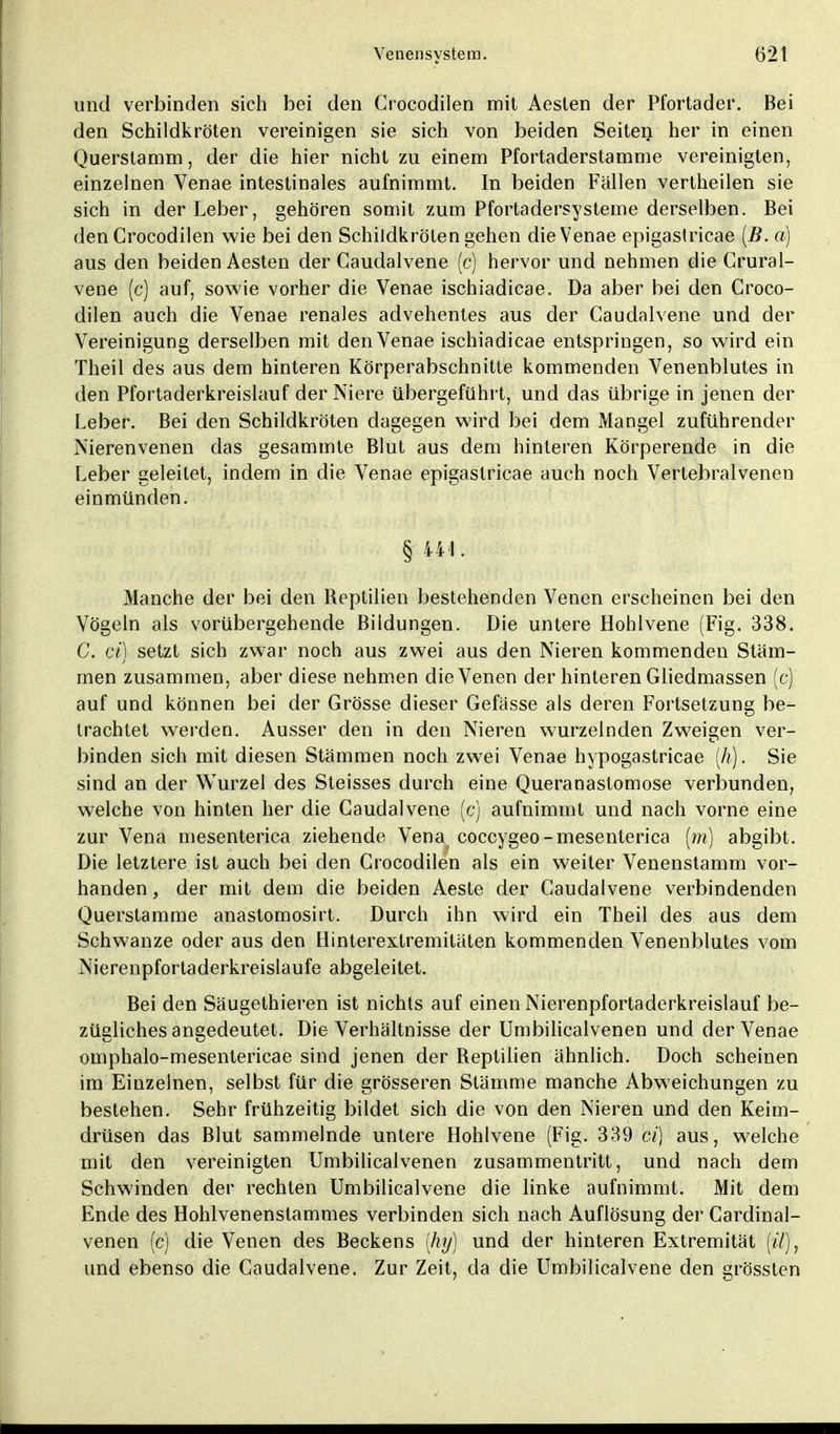und verbinden sich bei den Crocodilen mit Aesten der Pfortader. Bei den Schildkröten vereinigen sie sich von beiden Seiten her in einen Querstamm, der die hier nicht zu einem Pfortaderstamme vereinigten, einzelnen Venae intestinales aufnimmt. In beiden Fällen vertheilen sie sich in der Leber, gehören somit zum Pfortadersysteme derselben. Bei den Crocodilen wie bei den Schildkrölen gehen die Venae epigastricae (B. a) aus den beiden Aesten der Caudalvene (c) hervor und nehmen die Crural- vene (c) auf, sowie vorher die Venae ischiadicae. Da aber bei den Croco- dilen auch die Venae renales advehentes aus der Caudalvene und der Vereinigung derselben mit den Venae ischiadicae entspringen, so wird ein Theil des aus dem hinteren Körperabschnitte kommenden Venenblutes in den Pfortaderkreislauf der Niere übergeführt, und das übrige in jenen der Leber. Bei den Schildkröten dagegen wird bei dem Mangel zuführender Nierenvenen das gesammte Blut aus dem hinteren Körperende in die Leber geleilet, indem in die Venae epigastricae auch noch Vertebralvenen einmünden. § 44*. Manche der bei den Reptilien bestehenden Venen erscheinen bei den Vögeln als vorübergehende Bildungen. Die untere Hohlvene (Fig. 338. C. ci) setzt sich zwar noch aus zwei aus den Nieren kommenden Stäm- men zusammen, aber diese nehmen die Venen der hinteren Gliedmassen (c) auf und können bei der Grösse dieser Gefässe als deren Fortsetzung be- trachtet werden. Ausser den in den Nieren wurzelnden Zweigen ver- binden sich mit diesen Stämmen noch zwei Venae hypogastricae (h). Sie sind an der Wurzel des Steisses durch eine Queranastomose verbunden, welche von hinten her die Caudalvene (c) aufnimmt und nach vorne eine zur Vena mesenterica ziehende Vena( coccygeo-mesenterica (m) abgibt. Die letztere ist auch bei den Crocodilen als ein weiter Venenstamm vor- handen , der mit dem die beiden Aeste der Caudalvene verbindenden Querstamme anastomosirt. Durch ihn wird ein Theil des aus dem Schwänze oder aus den Hinterextremitäten kommenden Venenblutes vom Nierenpfortaderkreislaufe abgeleitet. Bei den Säugethieren ist nichts auf einen Nierenpfortaderkreislauf be- zügliches angedeutet. Die Verhältnisse der Umbilicalvenen und der Venae omphalo-mesentericae sind jenen der Reptilien ähnlich. Doch scheinen im Einzelnen, selbst für die grösseren Stämme manche Abweichungen zu bestehen. Sehr frühzeitig bildet sich die von den Nieren und den Keim- drüsen das Blut sammelnde untere Hohlvene (Fig. 339 ci) aus, welche mit den vereinigten Umbilicalvenen zusammentritt, und nach dem Schwinden der rechten Umbilicalvene die linke aufnimmt. Mit dem Ende des Hohlvenenstammes verbinden sich nach Auflösung der Cardinal- venen (c) die Venen des Beckens ihy) und der hinteren Extremität [üj, und ebenso die Caudalvene. Zur Zeit, da die Umbilicalvene den grössten
