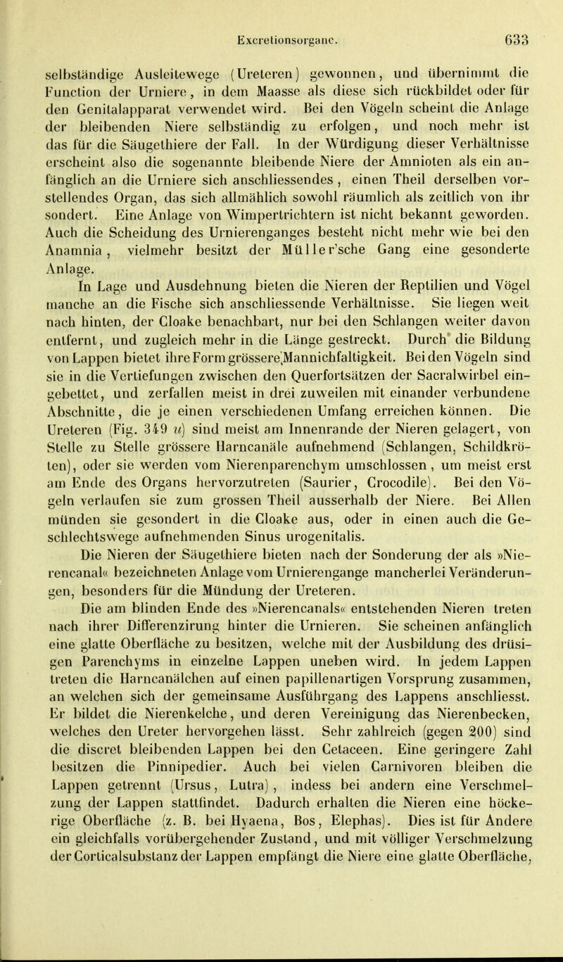 selbständige Ausleitewege (Ureteren) gewonnen, und übernimmt die Function der Urniere, in dem Maasse als diese sich rückbildet oder für den Genitalapparat verwendet wird. Bei den Vögeln scheint die Anlage der bleibenden Niere selbständig zu erfolgen, und noch mehr ist das für die Säugethiere der Fall. In der Würdigung dieser Verhältnisse erscheint also die sogenannte bleibende Niere der Amnioten als ein an- fänglich an die Urniere sich anschliessendes , einen Theil derselben vor- stellendes Organ, das sich allmählich sowohl räumlich als zeitlich von ihr sondert. Eine Anlage von Wimpertrichtern ist nicht bekannt geworden. Auch die Scheidung des Urnierenganges besteht nicht mehr wie bei den Anamnia , vielmehr besitzt der Müller'sche Gang eine gesonderte Anlage. In Lage und Ausdehnung bieten die Nieren der Reptilien und Vögel manche an die Fische sich anschliessende Verhältnisse. Sie liegen weit nach hinten, der Cloake benachbart, nur bei den Schlangen weiter davon entfernt, und zugleich mehr in die Länge gestreckt. Durch die Bildung von Lappen bietet ihre Form grössere'Mannichfaltigkeit. Bei den Vögeln sind sie in die Vertiefungen zwischen den Querfortsätzen der Sacralwirbel ein- gebettet, und zerfallen meist in drei zuweilen mit einander verbundene Abschnitte, die je einen verschiedenen Umfang erreichen können. Die Ureteren (Fig. 349 u) sind meist am Innenrande der Nieren gelagert, von Stelle zu Stelle grössere Harncanäle aufnehmend (Schlangen, Schildkrö- ten), oder sie werden vom Nierenparenchym umschlossen, um meist erst am Ende des Organs hervorzutreten (Saurier, Crocodile). Bei den Vö- geln verlaufen sie zum grossen Theil ausserhalb der Niere. Bei Allen münden sie gesondert in die Cloake aus, oder in einen auch die Ge- schlechtswege aufnehmenden Sinus urogenitalis. Die Nieren der Säugethiere bieten nach der Sonderung der als »Nie- rencanal« bezeichneten Anlage vom Urnierengange mancherlei Veränderun- gen, besonders für die Mündung der Ureteren. Die am blinden Ende des »Nierencanals« entstehenden Nieren treten nach ihrer Differenzirung hinter die Urnieren. Sie scheinen anfänglich eine glatte Oberfläche zu besitzen, welche mit der Ausbildung des drüsi- gen Parenchyms in einzelne Lappen uneben wird. In jedem Lappen treten die Harncanälchen auf einen papillenartigen Vorsprung zusammen, an welchen sich der gemeinsame Ausführgang des Lappens anschliesst. Er bildet die Nierenkelche, und deren Vereinigung das Nierenbecken, welches den Ureter hervorgehen lässt. Sehr zahlreich (gegen 200) sind die discret bleibenden Lappen bei den Cetaceen. Eine geringere Zahl besitzen die Pinnipedier. Auch bei vielen Carnivoren bleiben die Lappen getrennt (Ursus, Lutra) , indess bei andern eine Verschmel- zung der Lappen stattfindet. Dadurch erhalten die Nieren eine höcke- rige Oberfläche (z. B. bei Hyaena, Bos, Elephas). Dies ist für Andere ein gleichfalls vorübergehender Zustand, und mit völliger Verschmelzung der Gorticalsubstanz der Lappen empfängt die Niere eine glatte Oberfläche,,
