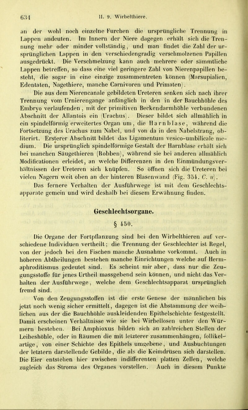 an der wohl noch einzelne Furchen die ursprüngliche Trennung in Lappen andeuten. Im Innern der Niere dagegen erhält sich die Tren- nung mehr oder minder vollständig, und man findet die Zahl der ur- sprünglichen Lappen in den verschiedengradig verschmolzenen Papillen ausgedrückt. Die Verschmelzung kann auch mehrere oder sämmtliche Lappen betreffen, so dass eine viel geringere Zahl von Nierenpapillen be- steht, die sogar in eine einzige zusammentreten können (Marsupialien, Edentaten, Nagethiere, manche Carnivoren und Primaten). Die aus dem Nierencanale gebildeten Ureteren senken sich nach ihrer Trennung vom Urnierengange anfänglich in den in der Bauchhöhle des Embryo verlaufenden , mit der primitiven Beckendarmhöhle verbundenen Abschnitt der Allantois ein (Urachus). Dieser bildet sich allmählich in ein spindelförmig erweitertes Organ um, die Harnblase, während die Fortsetzung des Urachus zum Nabel, und von da in den Nabelstrang, ob- literirt. Ersterer Abschnitt bildet das Ligamentum vesico-umbilicale me- dium. Die ursprünglich spindelförmige Gestalt der Harnblase erhält sich bei manchen Säugethieren (Robben), während sie bei anderen allmählich Modifikationen erleidet, an welche Differenzen in den Einmündungsver- hältnissen der Ureteren sich knüpfen. So öffnen sich die Ureteren bei vielen Nagern weit oben an der hinteren Blasenwand (Fig. 354. C. u). Das fernere Verhalten der Ausführwege ist mit dem Geschlechls- apparate gemein und wird deshalb bei diesem Erwähnung finden. Geschlechtsorgane. § 450. Die Organe der Fortpflanzung sind bei den Wirbelthieren auf ver- schiedene Individuen vertheilt; die Trennung der Geschlechter ist Regel, von der jedoch bei den Fischen manche Ausnahme vorkommt. Auch in höheren Abtheilungen bestehen manche Einrichtungen welche auf Herm- aphroditismus gedeutet sind. Es scheint mir aber, dass nur die Zeu- gungsstoffe für jenes Urtheil massgebend sein können, und nicht das Ver- halten der Ausführwege, welche dem Geschlechtsapparat ursprünglich fremd sind. Von den Zeugungsstoffen ist die erste Genese der männlichen bis jetzt noch wenig sicher ermittelt, dagegen ist die Abstammung der weib- lichen aus der die Bauchhöhle auskleidenden Epithelschichte festgestellt. Damit erscheinen Verhältnisse wie sie bei Wirbellosen unter den Wür- mern bestehen. Bei Amphioxus bilden sich an zahlreichen Stellen der Leibeshöhle, oder in Räumen die mit letzterer zusammenhängen, follikel- artige, von einer Schichte des Epithels umgebene, und Ausbuchtungen der letztern darstellende Gebilde, die als die Keimdrüsen sich darstellen. Die Eier entstehen hier zwischen indifferenten platten Zellen, welche zugleich das Stroma des Organes vorstellen. Auch in diesem Punkte
