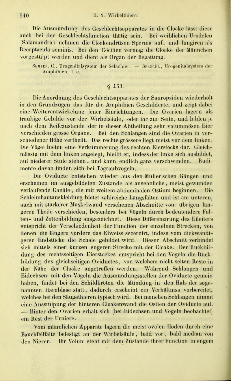 Die Ausmündung des Geschlechtsapparates in die Cloake lässt diese auch bei der Geschlechtsfunction thätig sein. Bei weiblichen Urodelen (Salamandra) nehmen die Cloakendrüsen Sperma auf, und fungiren als Receptacula seminis. Bei den Cöcilien vermag die Cloake der Männchen vorgestülpt werden und dient als Organ der Begattung. Semper, C, Urogenitalsyslem der Selachier. — Spengel , ÜrogeriitaTsystem der Amphibien. 1. c. § 453. Die Anordnung des Geschlechtsapparates der Sauropsiden wiederholt in den Grundzügen das für die Amphibien Geschilderte, und zeigt dabei eine Weitereritwickelung jener Einrichtungen. Die Ovarien lagern als traubige Gebilde vor der Wirbelsäule, oder ihr zur Seite, und bilden je nach dem Reifezustande der in dieser Abtheilung sehr voluminösen Eier verschieden grosse Organe. Bei den Schlangen sind die Ovarien in ver- schiedener Höhe vertheilt. Das rechte grössere liegt meist vor dem linken. Die Vögel bieten eine Verkümmerung des rechten Eierstocks dar. Gleich- mässig mit dem linken angelegt, bleibt er, indessder linke sich ausbildet, auf niederer Stufe stehen, und kann endlich ganz verschwinden. Rudi- mente davon finden sich bei Tagraubvögeln. Die Oviducte entstehen wieder aus den Müller'schen Gängen und erscheinen im ausgebildeten Zustande als ansehnliche, meist gewunden verlaufende Canäle, die mit weitem abdominalen Ostium beginnen. Die Schleimhautauskleidung bietet zahlreiche Längsfalten und ist am unteren, auch mit stärkerer Muskelwand versehenen Abschnitte vom übrigen län- geren Theile verschieden, besonders bei Vögeln durch bedeutendere Fal- ten- und Zottenbildung ausgezeichnet. Diese Difierenzirung des Eileiters entspricht der Verschiedenheit der Function der einzelnen Strecken, von denen die längere vordere das Eiweiss secernirt, indess vom dickwandi- geren Endstücke die Schale gebildet wird. Dieser Abschnitt verbindet sich mittels einer kurzen engeren Strecke mit der Cloake. Der Rückbil- dung des rechtsseitigen Eierstockes entspricht bei den Vögeln die Rück- bildung des gleichseitigen Oviductes, von welchem nicht selten Reste in der Nähe der Cloake angetroffen werden. Während Schlangen und Eidechsen mit den Vögeln die Ausmündungsstellen der Oviducte gemein haben, findet bei den Schildkröten die Mündung in den Hals der soge- nannten Harnblase statt, dadurch erscheint ein Verhältniss vorbereitet, welches bei den Säugethieren typisch wird. Bei manchen Schlangen nimmt eine Ausstülpung der hinteren Cloakenwand die Ostien der Oviducte auf. — Hinter den Ovarien erhält sich (bei Eidechsen und Vögeln beobachtet) ein Rest der Urniere. Vom männlichen Apparate lagern die meist ovalen Hoden durch eine Bauchfellfalte befestigt an der Wirbelsäule , bald vor, bald median von den Nieren. Ihr Volum steht mit dem Zustande ihrer Function in engem