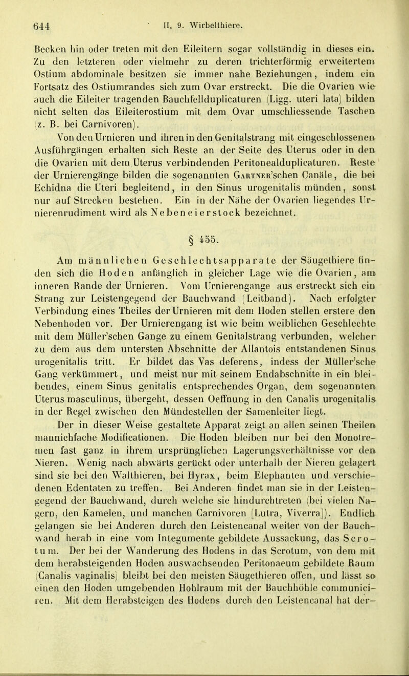 Becken hin oder treten mit den Eileitern sogar vollständig in dieses ein. Zu den letzteren oder vielmehr zu deren trichterförmig erweitertem Ostium abdominale besitzen sie immer nahe Beziehungen, indem ein Fortsatz des Ostiumrandes sich zum Ovar erstreckt. Die die Ovarien wie auch die Eileiter tragenden Bauchfellduplicaturen (Ligg. uteri lata) bilden nicht selten das Eileilerostium mit dem Ovar umschliessende Taschen (z. B. bei Carnivoren). VondenUrnieren und ihren in den Genitalstrang mit eingeschlossenen Ausführgängen erhalten sich Reste an der Seite des Uterus oder in den die Ovarien mit dem Uterus verbindenden Peritonealduplicaturen. Reste der Urnierengänge bilden die sogenannten GARTNER'schen Canäle, die bei Echidna die Uteri begleitend, in den Sinus urogenitalis münden, sonst nur auf Strecken bestehen. Ein in der Nähe der Ovarien liegendes Ur- nierenrudiment wird als Neben ei er stock bezeichnet. § 455. Am männlichen Geschlechtsapparate der Säugethiere fin- den sich die Hoden anfänglich in gleicher Lage wie die Ovarien, am inneren Rande der Urnieren. Vom Urnierengänge aus erstreckt sich ein Strang zur Leistengegend der Bauchwand (Leitband). Nach erfolgter Verbindung eines Theiles der Urnieren mit dem Hoden stellen erstere den Nebenhoden vor. Der Urnierengang ist wie beim weiblichen Geschlechte mit dem Müller'schen Gange zu einem Genitalstrang verbunden, welcher zu dem aus dem untersten Abschnitte der Allantois entstandenen Sinus urogenitalis tritt. Er bildet das Vas deferens, indess der Müller'sche Gang verkümmert, und meist nur mit seinem Endabschniite in ein blei- bendes, einem Sinus genitalis entsprechendes Organ, dem sogenannten Uterus masculinus, Ubergeht, dessen Oeffnung in den Canalis urogenitalis in der Regel zwischen den Mündestellen der Samenleiter liegt. Der in dieser Weise gestaltete Apparat zeigt an allen seinen Theilen mannichfache Modificationen. Die Hoden bleiben nur bei den Monotre- men fast ganz in ihrem ursprünglichen Lagerungsverhältnisse vor den Nieren. Wenig nach abwärts gerückt oder unterhalb der Nieren gelagert sind sie bei den Walthieren, bei Hyrax, beim Elephanten und verschie- denen Edentaten zu treffen. Bei Anderen findet man sie in der Leisten- gegend der Bauchwand, durch welche sie hindurchtreten (bei vielen Na- gern, den Kamelen, und manchen Carnivoren [Lutra; Viverra]). Endlich gelangen sie bei Anderen durch den Leistencanal weiter von der Bauch- wand herab in eine vom Integumente gebildete Aussackung, das Scro- tum. Der bei der Wanderung des Hodens in das Scrotum, von dem mit dem herabsteigenden Hoden auswachsenden Perilonaeum gebildete Raum (Canalis vaginalis) bleibt bei den meisten Säugethieren offen, und lässt so einen den Hoden umgebenden Hohlraum mit der Bauchhöhle communici- ren. Mit dem Herabsteigen des Hodens durch den Leistencanal hat der-