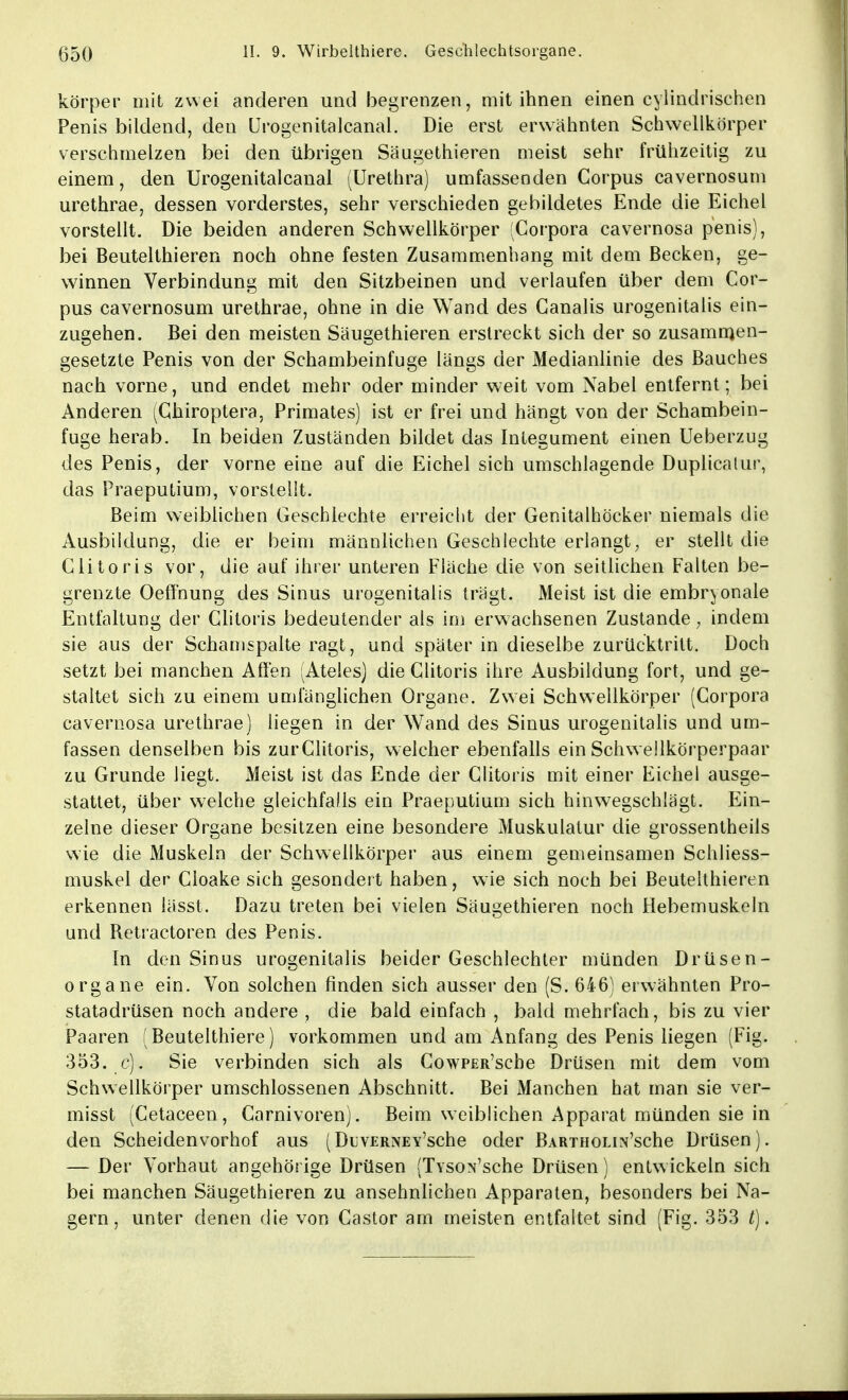körper mit zwei anderen und begrenzen, mit ihnen einen cylindrischen Penis bildend, den Ürogenitalcanal. Die erst erwähnten Schwellkörper verschmelzen bei den übrigen Säugethieren meist sehr frühzeitig zu einem, den Ürogenitalcanal (Urethra) umfassenden Corpus cavernosum urethrae, dessen vorderstes, sehr verschieden gebildetes Ende die Eichel vorstellt. Die beiden anderen Schwellkörper Corpora cavernosa penis), bei Beutelthieren noch ohne festen Zusammenhang mit dem Becken, ge- winnen Verbindung mit den Sitzbeinen und verlaufen über dem Cor- pus cavernosum urethrae, ohne in die Wand des Canalis urogenitalis ein- zugehen. Bei den meisten Säugethieren erstreckt sich der so zusammen- gesetzte Penis von der Schambeinfuge längs der Medianlinie des Bauches nach vorne, und endet mehr oder minder weit vom Nabel entfernt; bei Anderen (Chiroptera, Primates) ist er frei und hängt von der Schambein- fuge herab. In beiden Zuständen bildet das Integument einen Ueberzug des Penis, der vorne eine auf die Eichel sich umschlagende Duplicalur, das Praeputium, vorstellt. Beim weiblichen Geschlechte erreicht der Genitalhöcker niemals die Ausbildung, die er beim männlichen Geschlechte erlangt, er stellt die Clitoris vor, die auf ihrer unteren Fläche die von seitlichen Falten be- grenzte Oeffnung des Sinus urogenitalis trägt. Meist ist die embryonale Entfaltung der Clitoris bedeutender als im erwachsenen Zustande, indem sie aus der Schamspalte ragt, und später in dieselbe zurücktritt. Doch setzt bei manchen Alfen (Ateles) die Clitoris ihre Ausbildung fort, und ge- staltet sich zu einem umfänglichen Organe. Zwei Schwellkörper (Corpora cavernosa urethrae) liegen in der Wand des Sinus urogenitalis und um- fassen denselben bis zurClitoris, welcher ebenfalls ein Schwellkörperpaar zu Grunde liegt. Meist ist das Ende der Clitoris mit einer Eichel ausge- stattet, über welche gleichfalls ein Praeputium sich hinwegschlägt. Ein- zelne dieser Organe besitzen eine besondere Muskulatur die grossentheils wie die Muskeln der Schwellkörper aus einem gemeinsamen Schliess- muskel der Cloake sich gesondert haben, wie sich noch bei Beutelthieren erkennen lässl. Dazu treten bei vielen Säugethieren noch Hebemuskeln und Retractoren des Penis. In den Sinus urogenitalis beider Geschlechter münden Drüsen- organe ein. Von solchen finden sich ausser den (S. 646) erwähnten Pro- statadrüsen noch andere , die bald einfach , bald mehrfach, bis zu vier Paaren (Beutelthiere) vorkommen und am Anfang des Penis liegen (Fig. 353. c). Sie verbinden sich als CowPER'sche Drüsen mit dem vom Schwellkörper umschlossenen Abschnitt. Bei Manchen hat man sie ver- misst (Cetaceen, Carnivoren). Beim weiblichen Apparat münden sie in den Scheidenvorhof aus (DuvERNEY'sche oder BARTiioLiN'sche Drüsen). — Der Vorhaut angehörige Drüsen (TvsoN'sche Drüsen) entw ickeln sich bei manchen Säugethieren zu ansehnlichen Apparaten, besonders bei Na- gern, unter denen die von Castor am meisten entfaltet sind (Fig. 353 t).