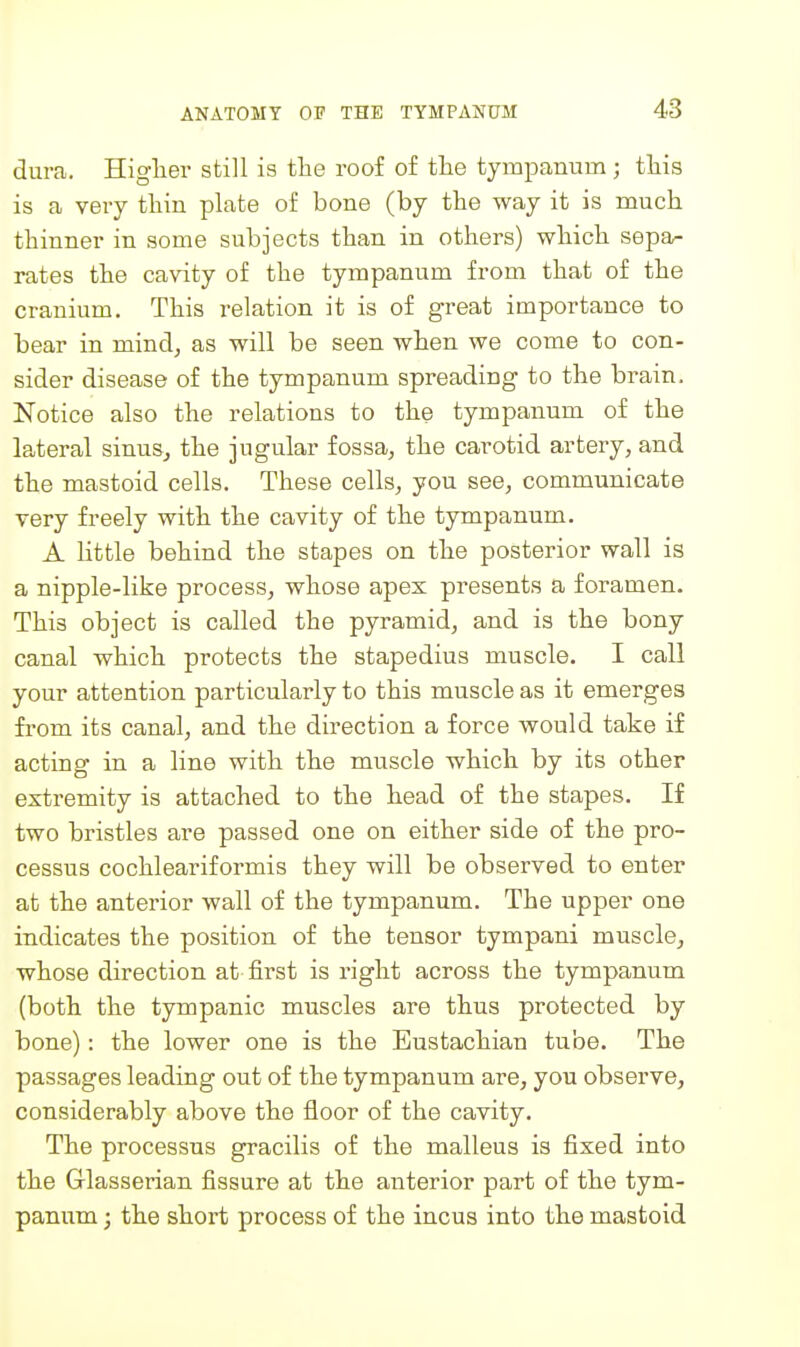 dura. Higlier still is the roof of tlie tympanum; this is a very thin plate of bone (by the way it is much thinner in some subjects than in others) which sepa- rates the cavity of the tympanum from that of the cranium. This relation it is of great importance to bear in mind^ as will be seen when we come to con- sider disease of the tympanum spreading to the brain. Notice also the relations to the tympanum of the lateral sinus^ the jugular fossa, the carotid artery, and the mastoid cells. These cells, you see, communicate very freely with the cavity of the tympanum. A little behind the stapes on the posterior wall is a nipple-like process, whose apex presents a foramen. This object is called the pyramid, and is the bony canal which protects the stapedius muscle. I call your attention particularly to this muscle as it emerges from its canal, and the direction a force would take if acting in a line with the muscle which by its other extremity is attached to the head of the stapes. If two bristles are passed one on either side of the pro- cessus cochleariformis they will be observed to enter at the anterior wall of the tympanum. The upper one indicates the position of the tensor tympani muscle, whose direction at first is right across the tympanum (both the tympanic muscles are thus protected by bone): the lower one is the Eustachian tube. The passages leading out of the tympanum are, you observe, considerably above the floor of the cavity. The processus gracilis of the malleus is fixed into the Glasserian fissure at the anterior part of the tym- panum ; the short process of the incus into the mastoid