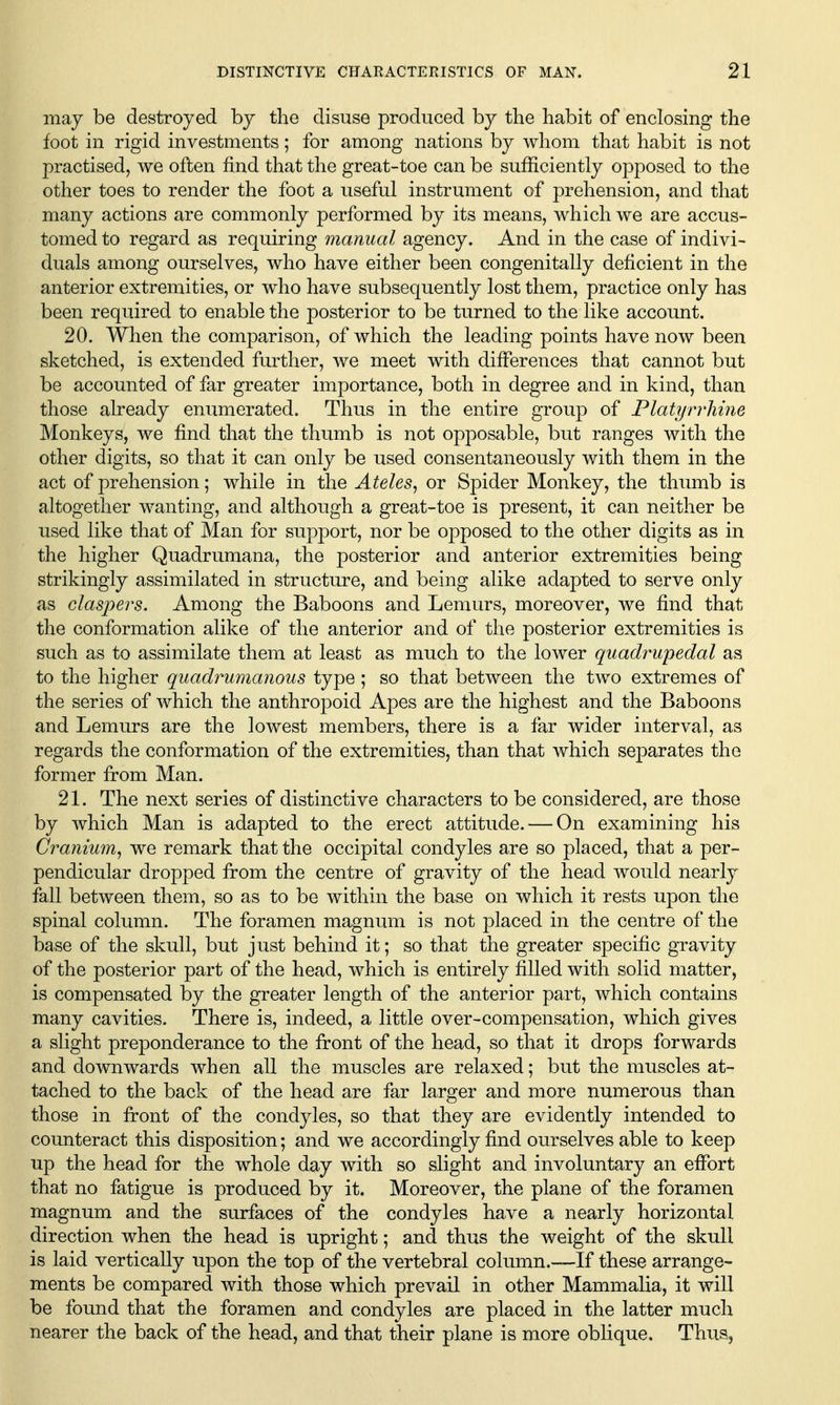 may be destroyed by the disuse produced by the habit of enclosing the foot in rigid investments; for among nations by whom that habit is not practised, we often find that the great-toe can be sufficiently opposed to the other toes to render the foot a useful instrument of prehension, and that many actions are commonly performed by its means, which we are accus- tomed to regard as requiring manual agency. And in the case of indivi- duals among ourselves, who have either been congenitally deficient in the anterior extremities, or who have subsequently lost them, practice only has been required to enable the posterior to be turned to the like account. 20. When the comparison, of which the leading points have now been sketched, is extended further, we meet with differences that cannot but be accounted of far greater importance, both in degree and in kind, than those already enumerated. Thus in the entire group of Platyrrhine Monkeys, we find that the thumb is not opposable, but ranges with the other digits, so that it can only be used consentaneously with them in the act of prehension; while in the Ateles, or Spider Monkey, the thumb is altogether wanting, and although a great-toe is present, it can neither be used like that of Man for support, nor be opposed to the other digits as in the higher Quadrumana, the posterior and anterior extremities being strikingly assimilated in structure, and being alike adapted to serve only as claspers. Among the Baboons and Lemurs, moreover, we find that the conformation alike of the anterior and of the posterior extremities is such as to assimilate them at least as much to the lower quadrupedal as to the higher quadrumanous type ; so that between the two extremes of the series of which the anthropoid Apes are the highest and the Baboons and Lemurs are the lowest members, there is a far wider interval, as regards the conformation of the extremities, than that which separates the former from Man. 21. The next series of distinctive characters to be considered, are those by which Man is adapted to the erect attitude. — On examining his Cranium^ we remark that the occipital condyles are so placed, that a per- pendicular dropped from the centre of gravity of the head would nearly fall between them, so as to be within the base on which it rests upon the spinal column. The foramen magnum is not placed in the centre of the base of the skull, but just behind it; so that the greater specific gravity of the posterior part of the head, which is entirely filled with solid matter, is compensated by the greater length of the anterior part, which contains many cavities. There is, indeed, a little over-compensation, which gives a slight preponderance to the front of the head, so that it drops forwards and downwards when all the muscles are relaxed; but the muscles at- tached to the back of the head are far larger and more numerous than those in front of the condyles, so that they are evidently intended to counteract this disposition; and we accordingly find ourselves able to keep up the head for the whole day with so slight and involuntary an effort that no fatigue is produced by it. Moreover, the plane of the foramen magnum and the surfaces of the condyles have a nearly horizontal direction when the head is upright; and thus the weight of the skull is laid vertically upon the top of the vertebral column.—If these arrange- ments be compared with those which prevail in other Mammalia, it will be found that the foramen and condyles are placed in the latter much nearer the back of the head, and that their plane is more oblique. Thus,