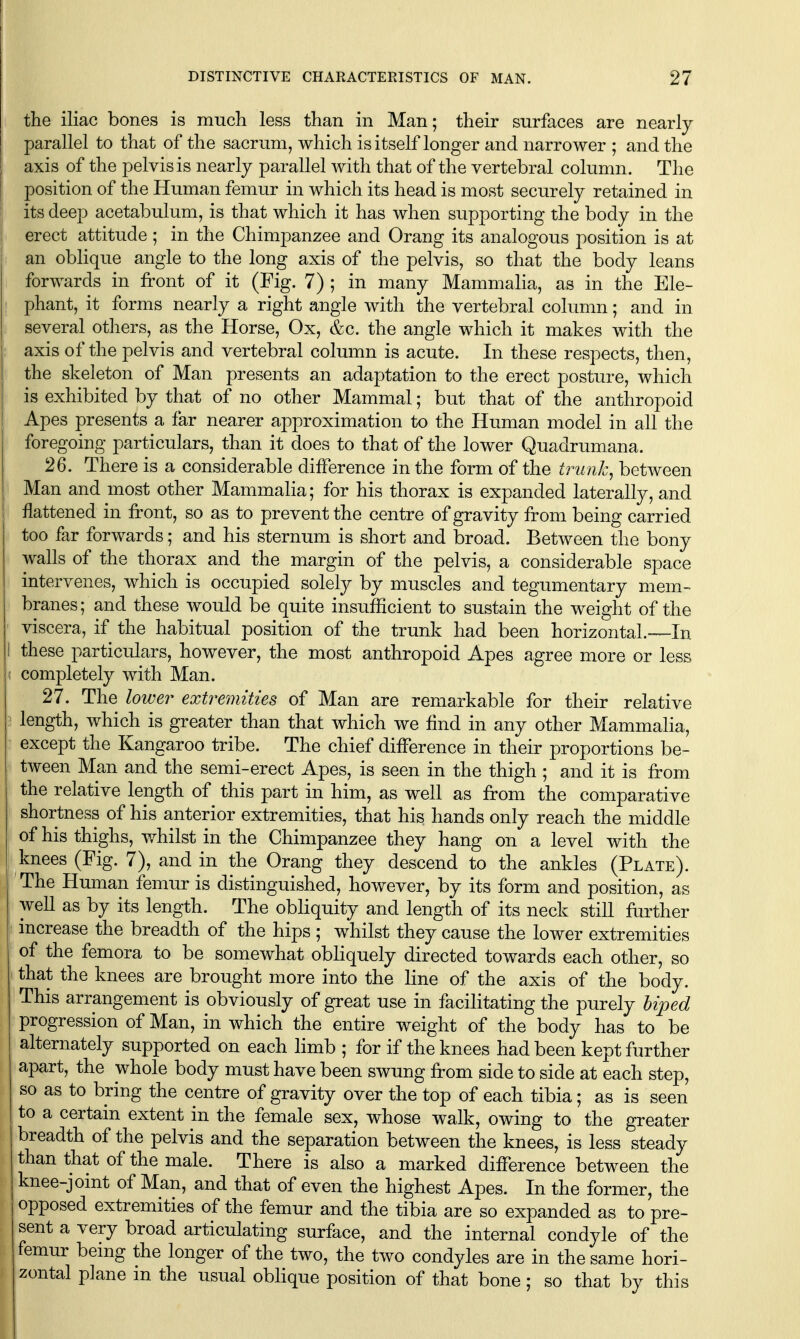 the iliac bones is much less than in Man; their surfaces are nearly parallel to that of the sacrum, which is itself longer and narrower ; and the axis of the pelvis is nearly parallel with that of the vertebral column. The position of the Human femur in which its head is most securely retained in its deep acetabulum, is that which it has when supporting the body in the erect attitude ; in the Chimpanzee and Orang its analogous position is at an oblique angle to the long axis of the pelvis, so that the body leans forwards in front of it (Fig. 7) ; in many Mammalia, as in the Ele- phant, it forms nearly a right angle with the vertebral column; and in several others, as the Horse, Ox, &c. the angle which it makes with the axis of the pelvis and vertebral column is acute. In these respects, then, the skeleton of Man presents an adaptation to the erect posture, which is exhibited by that of no other Mammal; but that of the anthropoid Apes presents a far nearer approximation to the Human model in all the foregoing particulars, than it does to that of the lower Quadrumana. 26. There is a considerable difference in the form of the trunk^ between Man and most other Mammalia; for his thorax is expanded laterally, and flattened in front, so as to prevent the centre of gravity from being carried too far forwards; and his sternum is short and broad. Between the bony walls of the thorax and the margin of the pelvis, a considerable space intervenes, which is occupied solely by muscles and tegumentary mem- branes; and these would be quite insufhcient to sustain the weight of the viscera, if the habitual position of the trunk had been horizontal.—In these particulars, however, the most anthropoid Apes agree more or less completely with Man. 27. The lower extremities of Man are remarkable for their relative length, which is greater than that which we find in any other Mammalia, except the Kangaroo tribe. The chief difference in their proportions be- tween Man and the semi-erect Apes, is seen in the thigh ; and it is from the relative length of this part in him, as well as from the comparative shortness of his anterior extremities, that his hands only reach the middle of his thighs, whilst in the Chimpanzee they hang on a level with the knees (Fig. 7), and in the Orang they descend to the ankles (Plate). The Human femur is distinguished, however, by its form and position, as weU as by its length. The obliquity and length of its neck still farther increase the breadth of the hips ; whilst they cause the lower extremities of the femora to be somewhat obliquely directed towards each other, so that the knees are brought more into the line of the axis of the body. This arrangement is obviously of great use in facilitating the purely hiped progression of Man, in which the entire weight of the body has to be alternately supported on each limb ; for if the knees had been kept further apart, the whole body must have been swung from side to side at each step, so as to bring the centre of gravity over the top of each tibia; as is seen to a certain extent in the female sex, whose walk, owing to the greater breadth of the pelvis and the separation between the knees, is less steady than that of the male. There is also a marked difference between the knee-joint of Man, and that of even the highest Apes. In the former, the opposed extremities of the femur and the tibia are so expanded as to pre- sent a very broad articulating surface, and the internal condyle of the femur being the longer of the two, the two condyles are in the same hori- zontal plane in the usual oblique position of that bone; so that by this
