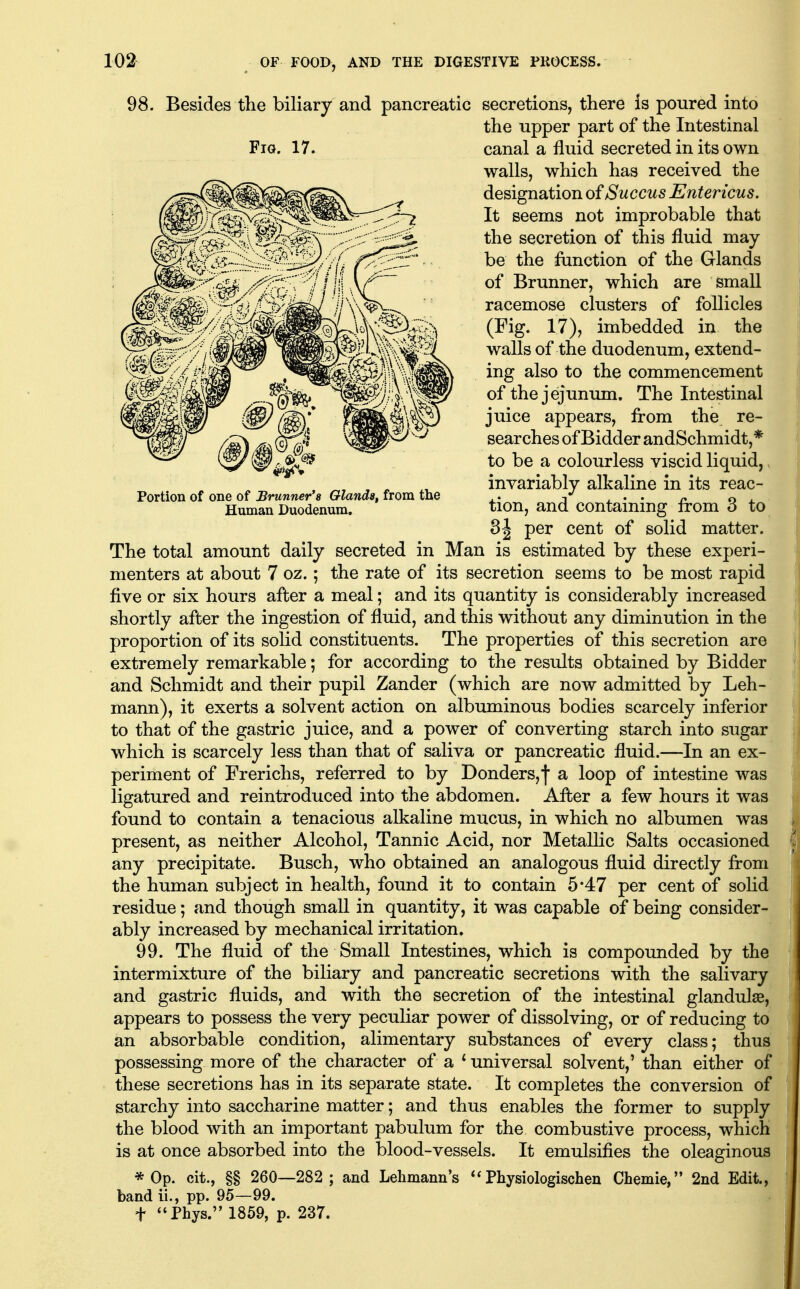 98. Besides the biliary and pancreatic secretions, there is poured into the upper part of the Intestinal canal a fluid secreted in its own walls, which has received the designation of Succus Entericus. It seems not improbable that the secretion of this fluid may- be the function of the Glands of Brunner, which are small racemose clusters of follicles (Fig. 17), imbedded in the walls of the duodenum, extend- ing also to the commencement of the jejunum. The Intestinal juice appears, from the re- searches of Bidder andSchmidt,* to be a colourless viscid liquid, invariably alkaline in its reac- tion, and containing from 3 to 31 per cent of solid matter. The total amount daily secreted in Man is estimated by these experi- menters at about 7 oz.; the rate of its secretion seems to be most rapid five or six hours after a meal; and its quantity is considerably increased shortly after the ingestion of fluid, and this without any diminution in the proportion of its solid constituents. The properties of this secretion are extremely remarkable; for according to the results obtained by Bidder and Schmidt and their pupil Zander (which are now admitted by Leh- mann), it exerts a solvent action on albuminous bodies scarcely inferior to that of the gastric juice, and a power of converting starch into sugar which is scarcely less than that of saliva or pancreatic fluid.—In an ex- periment of Frerichs, referred to by Bonders,j* a loop of intestine was ligatured and reintroduced into the abdomen. After a few hours it was found to contain a tenacious alkaline mucus, in which no albumen was present, as neither Alcohol, Tannic Acid, nor Metallic Salts occasioned any precipitate. Busch, who obtained an analogous fluid directly from the human subject in health, found it to contain 5*47 per cent of soHd residue; and though small in quantity, it was capable of being consider- ably increased by mechanical irritation. 99. The fluid of the Small Intestines, which is compounded by the intermixture of the biliary and pancreatic secretions with the salivary and gastric fluids, and with the secretion of the intestinal glandulse, appears to possess the very peculiar power of dissolving, or of reducing to an absorbable condition, alimentary substances of every class; thus possessing more of the character of a * universal solvent,' than either of these secretions has in its separate state. It completes the conversion of starchy into saccharine matter; and thus enables the former to supply the blood with an important pabulum for the combustive process, which is at once absorbed into the blood-vessels. It emulsifies the oleaginous *0p. cit., §§ 260—282; and Lelimann's Physiologischen Chemie, 2nd Edit., band li., pp. 95—99. t Phys. 1859, p. 237. FiQ. 17. Portion of one of Brunner's Glands^ from the Human Duodenum.