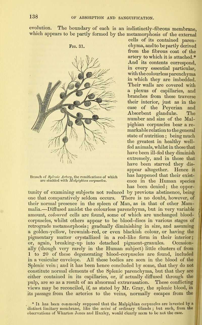 evolution. The boundary of each is an indistinctly-fibrous membrane, which appears to be partly formed by the metamorphosis of the external cells of its contained paren- from the fibrous coat of the artery to which it is attached.* And its contents correspond, in every essential particular, with the colourless parenchyma in which they are imbedded. Their walls are covered with a plexus of capillaries, and branches from these traverse their interior, just as in the case of the Peyerian and Absorbent glandulaa. The number and size of the Mal- pighian corpuscles bear a re- markable relation to the general state of nutrition; being much the greatest in healthy well- fed animals, whilst in those that have been ill-fed they diminish extremely, and in those that have been starved they dis- appear altogether. Hence it Branch of Splenic Artery, the rnmifieations of which happened that their Cxist- aro studded with MalpigUan corpuscles. enCO in the Human SpCcicS has been denied; the oppor- tunity of examining subjects not reduced by previous abstinence, being one that comparatively seldom occurs. There is no doubt, however, of their normal presence in the spleen of Man, as in that of other Mam- malia.—Diffused amidst the colourless parenchyma, but in very variable amount, coloured cells are found, some of which are unchanged blood- corpuscles, whilst others appear to be blood-discs in various stages of retrograde metamorphosis; gradually diminishing in size, and assuming a golden-yellow, brownish-red, or even blackish colour, or having the pigmentary matter crystallized in a rod-like form in their interior; or, again, breaking-up into detached pigment-granules. Occasion- ally (though very rarely in the Human subject) little clusters of from 1 to 20 of these degenerating blood-corpuscles are found, included in a vesicular envelope. All these bodies are seen in the blood of the Splenic vein; and it has been hence concluded by some, that they do not constitute normal elements of the Splenic parenchyma, but that they are either contained in its capillaries, or, if actually diffused through the pulp, are so as a result of an abnormal extravasation. These conflicting views may be reconciled, if, as stated by Mr. Gray, the splenic blood, in its passage from the arteries to the veins, normally escapes from the * It has been commonly siipposed that the Malpighian corpuscles are invested by a distinct limitary membrane, like the acini of ordinary Glands ; but such, from the observations of Wharton Jones and Huxley, would clearly seem to be not the case.