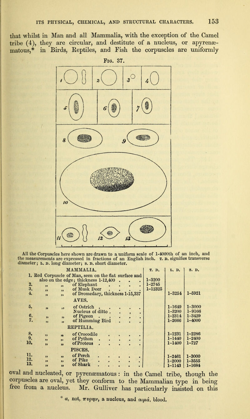 that whilst in Man and all Mammalia, with the exception of the Camel tribe (4), they are circular, and destitute of a nucleus, or apyrense- matous,* in Birds, Eeptiles, and Fish the corpuscles are uniformly Fia. 37. J L_ I L 1 I ,iL . 1 1 1 1~ All the Corpuscles here shown are drawn to a uniform scale of l-4000th of an inch, and the measurements are expressed in fractions of an English inch. t. d. signifies transverse diameter; l. d. long diameter; s. d. short diameter. MAMMALIA. T. D. L. D. S. D. 1. Red Corpuscle of Man, seen on the flat surface and also on the edge; thickness 1-12,400 . 2. „ „ of Elephant .... 3. „ „ of Musk Deer . . . . 4. „ „ of Dromedary, thickness 1-15,337 1-3200 1-2745 1-12325 1-3254 1-5921 AYES. 5. „ jNucleus of ditto . . , „ of Humming Bird REPTILIA. 1-1649 1-3200 1-2314 1-2666 1-3000 1-9166 1-3429 1-4000 8. 10. ,» of Crocodile .... „ of Python PISCES. 1-1231 1-1440 1-1400 1-2286 1-2400 1-727 11. 12. 13. of Perch of Pike „ of Shark 1-2461 1-2000 1-1143 1-3000 1-3555 1-1684 oval and nucleated, or pyrensematous : in the Camel tribe, though the corpuscles are oval, yet they conform to the Mammalian type in being free from a nucleus. Mr. Gulliver has particularly insisted on this * a, not, TTvprjifj a nucleus, and aifid, blood.