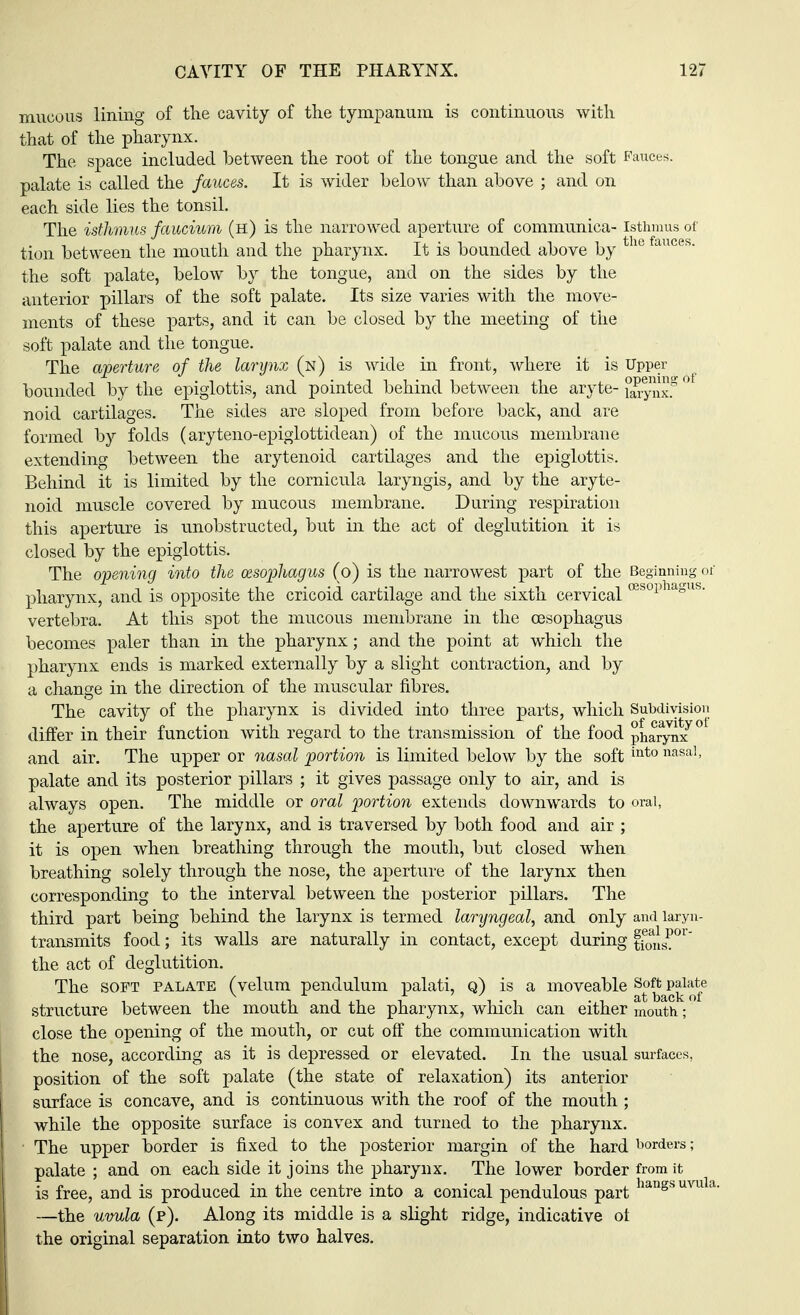 mucous lining of the cavity of the tympanum is continuous with that of the pharynx. The space included between the root of the tongue and the soft Fauces, palate is called the fauces. It is wider below than above ; and on each side lies the tonsil. The isthmus faucium (h) is the narrowed aperture of communica- isthmus of tion between the mouth and the pharynx. It is bounded above by ie auces- the soft palate, below by the tongue, and on the sides by the anterior pillars of the soft palate. Its size varies with the move- ments of these parts, and it can be closed by the meeting of the soft palate and the tongue. The aperture of the larynx (n) is wide in front, where it is Upper bounded by the epiglottis, and pointed behind between the aryte- {^ynxf noid cartilages. The sides are sloped from before back, and are formed by folds (aryteno-epiglottidean) of the mucous membrane extending between the arytenoid cartilages and the epiglottis. Behind it is limited by the cornicula laryngis, and by the aryte- noid muscle covered by mucous membrane. During respiration this aperture is unobstructed, but in the act of deglutition it is closed by the epiglottis. The opening into the oesophagus (o) is the narrowest part of the Beginning or' pharynx, and is opposite the cricoid cartilage and the sixth cervical oes°1) lcl°l vertebra. At this spot the mucous membrane in the oesophagus becomes paler than in the pharynx; and the point at which the pharynx ends is marked externally by a slight contraction, and by a change in the direction of the muscular fibres. The cavity of the pharynx is divided into three parts, which Subdivision differ in their function with regard to the transmission of the food pharynx^ and air. The upper or nasal portion is limited below by the soft into nasal, palate and its posterior pillars ; it gives passage only to air, and is always open. The middle or oral portion extends downwards to oral, the aperture of the larynx, and is traversed by both food and air ; it is open when breathing through the mouth, but closed when breathing solely through the nose, the aperture of the larynx then corresponding to the interval between the posterior pillars. The third part being behind the larynx is termed laryngeal, and only and laryn- transmits food; its walls are naturally in contact, except during ffons^01 the act of deglutition. The soft palate (velum pendulum palati, q) is a moveable j^^kof6 structure between the mouth and the pharynx, which can either mouth; close the opening of the mouth, or cut off the communication with the nose, according as it is depressed or elevated. In the usual surfaces, position of the soft palate (the state of relaxation) its anterior surface is concave, and is continuous with the roof of the mouth ; while the opposite surface is convex and turned to the pharynx. The upper border is fixed to the posterior margin of the hard borders; palate ; and on each side it joins the pharynx. The lower border from it is free, and is produced in the centre into a conical pendulous part hanSsuvua- —the uvula (p). Along its middle is a slight ridge, indicative of the original separation into two halves.