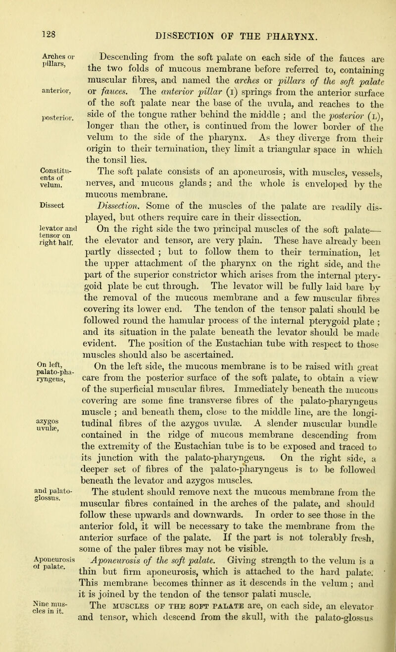 Arches ca- pillars, anterior, posterior. Constitu- ents of velum. Dissect levator and tensor on right half. On left, palato-pha- ryngens, azygos uvulae, and palato- Aponeurosis ot palate. Nine mus- cles in it. Descending from the soft palate on each side of the fauces are the two folds of mucous membrane before referred to, containing muscular fibres, and named the arches or pillars of the soft palate or fauces. The anterior pillar (i) springs from the anterior surface of the soft palate near the base of the uvula, and reaches to the side of the tongue rather behind the middle ; and the posterior (l), longer than the other, is continued from the lower border of the velum to the side of the pharynx. As they diverge from their origin to their termination, they limit a triangular space in which the tonsil lies. The soft palate consists of an aponeurosis, with muscles, vessels, nerves, and mucous glands; and the whole is enveloped by the mucous membrane. Dissection. Some of the muscles of the palate are readily dis- played, but others require care in their dissection. On the right side the two principal muscles of the soft palate— the elevator and tensor, are very plain. These have already been partly dissected ; but to follow them to their termination, let the upper attachment of the pharynx on the right side, and the part of the superior constrictor which arises from the internal ptery- goid plate be cut through. The levator will be fully laid bare by the removal of the mucous membrane and a few muscular fibres covering its lower end. The tendon of the tensor palati should be followed round the hamular process of the internal pterygoid plate ; and its situation in the palate beneath the levator should be made evident. The position of the Eustachian tube with resj>ect to those muscles should also be ascertained. On the left side, the mucous membrane is to be raised with great care from the posterior surface of the soft palate, to obtain a view of the superficial muscular fibres. Immediately beneath the mucous covering are some fine transverse fibres of the palato-pharyngeus muscle ; and beneath them, close to the middle line, are the longi- tudinal fibres of the azygos uvulse. A slender muscular bundle contained in the ridge of mucous membrane descending from the extremity of the Eustachian tube is to be exposed and traced to its junction with the palato-pharyngeus. On the right side, a deeper set of fibres of the j)alato-pharyngeus is to be followed beneath the levator and azygos muscles. The student should remove next the mucous membrane from the muscular fibres contained in the arches of the palate, and should follow these upwards and downwards. In order to see those in the anterior fold, it will be necessary to take the membrane from the anterior surface of the palate. If the part is not tolerably fresh, some of the paler fibres may not be visible. Aponeurosis of the soft palate. Giving strength to the velum is a thin but firm aponeurosis, which is attached to the hard palate. 1 This membrane, becomes thinner as it descends in the velum ; and it is joined by the tendon of the tensor palati muscle. The muscles of the soft palate are, on each side, an elevator and tensor, which descend from the skull, with the palato-glossus