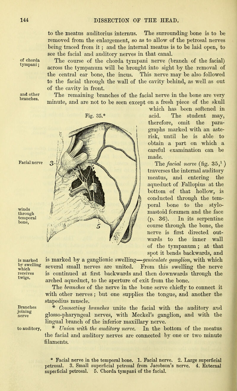 of chorda tympani; and other branches. Facial nerve winds through temporal bone, is marked by swelling which receives twigs. Branches joining nerve to auditory, to the meatus auditorius internus. The surrounding bone is to be removed from the enlargement, so as to allow of the petrosal nerves being traced from it; and the internal meatus is to be laid open, to see the facial and auditory nerves in that canal. The course of the chorda tympani nerve (branch of the facial) across the tympanum will be brought into sight by the removal of the central ear bone, the incus. This nerve may be also followed to the facial through the wall of the cavity behind, as well as out of the cavity in front. The remaining branches of the facial nerve in the bone are very minute, and are not to be seen except on a fresh piece of the skull which has been softened in acid. The student may, therefore, omit the para- graphs marked with an aste- risk, until he is able to obtain a part on which a careful examination can be made. The facial nerve (fig. 35,1 ) traverses the internal auditory meatus, and entering the aqueduct of Fallopius at the bottom of that hollow, is conducted through the tem- poral bone to the stylo- mastoid foramen and the face (p. 36). In its serpentine course through the bone, the P«y nerve is first directed out- er rffe45^ wards to the inner wall of the tympanum ; at that spot it bends backwards, and is marked by a ganglionic swelling—geniculate ganglion, with which several small nerves are united. From this swelling the nerve is continued at first backwards and then downwards through the arched aqueduct, to the aperture of exit from the bone. The branches of the nerve in the bone serve chiefly to connect it with other nerves; but one supplies the tongue, and another the stapedius muscle. * Connecting branches unite the facial with the auditory and glosso-pharyngeal nerves, with Meckel's ganglion, and with the lingual branch of the inferior maxillary nerve. * Union with the auditory nerve. In the bottom of the meatus the facial and auditory nerves are connected by one or two minute filaments. * Facial nerve in the temporal bone. 1. Facial nerve. 2. Large superficial petrosal. 3. Small superficial petrosal from Jacobson's nerve. 4. External superficial petrosal. 5. Chorda tympani of the facial.