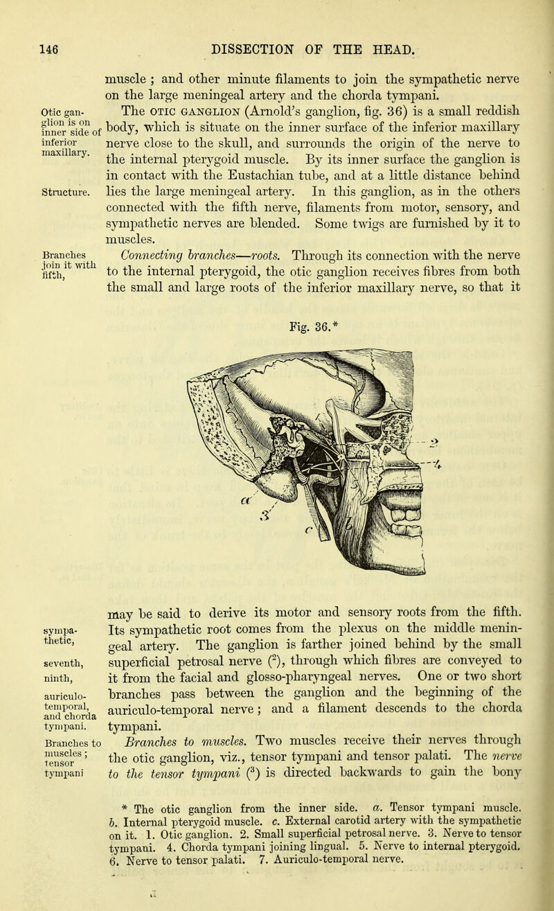 Otic gan- glion is on inner side of inferior maxillary. Structure. Branches join it with fifth, muscle ; and other minute filaments to join the sympathetic nerve on the large meningeal artery and the chorda tympani. The otic ganglion (Arnold's ganglion, fig. 36) is a small reddish body, which is situate on the inner surface of the inferior maxillary nerve close to the skull, and surrounds the origin of the nerve to the internal pterygoid muscle. By its inner surface the ganglion is in contact with the Eustachian tube, and at a little distance behind lies the large meningeal artery. In this ganglion, as in the others connected with the fifth nerve, filaments from motor, sensory, and sympathetic nerves are blended. Some twigs are furnished by it to muscles. Connecting branches—roots. Through its connection with the nerve to the internal pterygoid, the otic ganglion receives fibres from both the small and large roots of the inferior maxillary nerve, so that it sympa- thetic, seventh, ninth, auriculo- temporal, and chorda tympani. Branches to muscles ; tensor tympani may be said to derive its motor and sensory roots from the fifth. Its sympathetic root comes from the plexus on the middle menin- geal artery. The ganglion is farther joined behind by the small superficial petrosal nerve (2), through which fibres are conveyed to it from the facial and glossopharyngeal nerves. One or two short branches pass between the ganglion and the beginning of the auriculo-temporal nerve; and a filament descends to the chorda tympani. Branches to muscles. Two muscles receive their nerves through the otic ganglion, viz., tensor tympani and tensor palati. The nerve to the tensor tympani (3) is directed backwards to gain the bony * The otic ganglion from the inner side. a. Tensor tympani muscle. b. Internal pterygoid muscle, c. External carotid artery with the sympathetic on it. 1. Otic ganglion. 2. Small superficial petrosal nerve. 3. Nerve to tensor tympani. 4. Chorda tympani joining lingual. 5. Nerve to internal pterygoid. 6. Nerve to tensor palati. 7. Auriculo-temporal nerve.