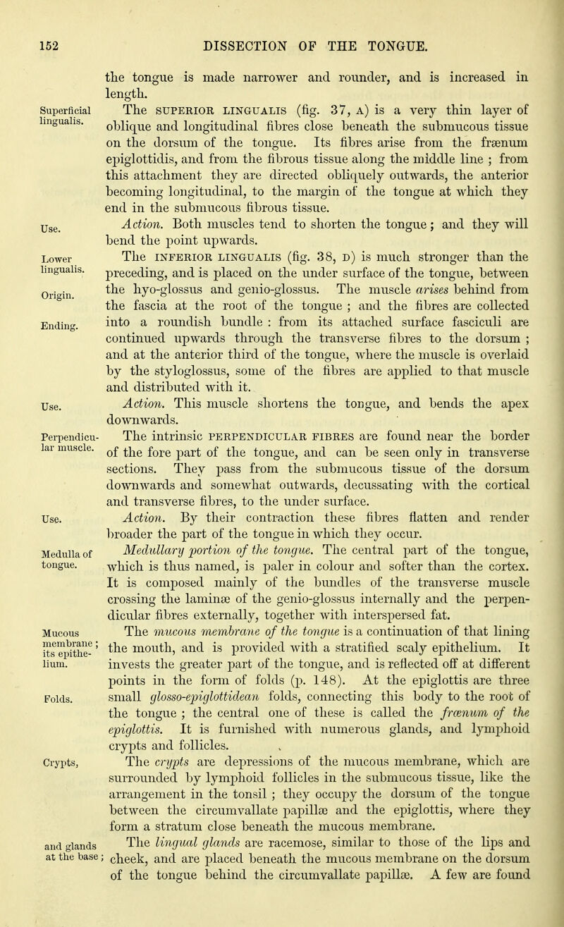 Superficial lingualis. Use. Lower lingualis. Origin. Ending. Perpendicu- lar muscle. Use. Medulla of tongue. Mucous membrane its epithe- lium. Folds. Crypts, and glands at the base the tongue is made narrower and rounder, and is increased in length. The superior lingualis (fig. 37, a) is a very thin layer of oblique and longitudinal fibres close beneath the submucous tissue on the dorsum of the tongue. Its fibres arise from the frsenum epiglottidis, and from the fibrous tissue along the middle line ; from this attachment they are directed obliquely outwards, the anterior becoming longitudinal, to the margin of the tongue at which they end in the submucous fibrous tissue. Action. Both muscles tend to shorten the tongue ; and they will bend the point upwards. The inferior lingualis (fig. 38, d) is much stronger than the preceding, and is placed on the under surface of the tongue, between the hyo-glossus and genio-glossus. The muscle arises behind from the fascia at the root of the tongue ; and the fibres are collected into a roundish bundle : from its attached surface fasciculi are continued upwards through the transverse fibres to the dorsum ; and at the anterior third of the tongue, where the muscle is overlaid by the styloglossus, some of the fibres are applied to that muscle and distributed with it. Action. This muscle shortens the tongue, and bends the apex downwards. The intrinsic perpendicular fibres are found near the border of the fore part of the tongue, and can be seen only in transverse sections. They pass from the submucous tissue of the dorsum downwards and somewhat outwards, decussating with the cortical and transverse fibres, to the under surface. Action. By their contraction these fibres flatten and render broader the part of the tongue in which they occur. Medullary portion of the tongue. The central part of the tongue, which is thus named, is paler in colour and softer than the cortex. It is composed mainly of the bundles of the transverse muscle crossing the laminae of the genio-glossus internally and the perpen- dicular fibres externally, together with interspersed fat. The mucous membrane of the tongue is a continuation of that lining the mouth, and is provided with a stratified scaly epithelium. It invests the greater part of the tongue, and is reflected off at different points in the form of folds (p. 148). At the epiglottis are three small glosso-epiglottidean folds, connecting this body to the root of the tongue ; the central one of these is called the frmnum of the epiglottis. It is furnished with numerous glands, and lymphoid crypts and follicles. The crypts are depressions of the mucous membrane, which are surrounded by lymphoid follicles in the submucous tissue, like the arrangement in the tonsil ; they occupy the dorsum of the tongue between the circumvallate papilla? and the epiglottis, where they form a stratum close beneath the mucous membrane. The lingual glands are racemose, similar to those of the lips and > cheek, and are placed beneath the mucous membrane on the dorsum of the tongue behind the circumvallate papillae. A few are found