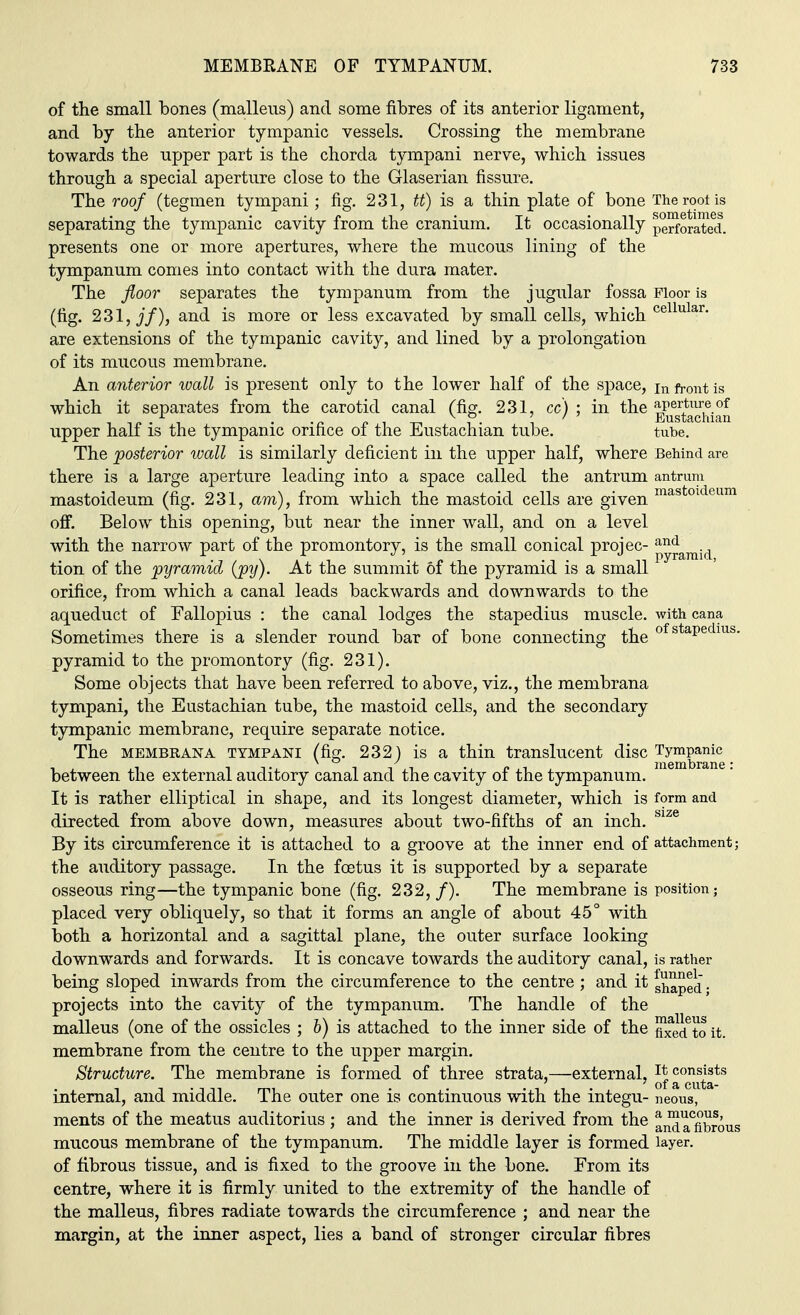 of the small bones (malleus) and some fibres of its anterior ligament, and by the anterior tympanic vessels. Crossing the membrane towards the upper part is the chorda tympani nerve, which issues through a special aperture close to the Glaserian fissure. The roof (tegmen tympani ; fig. 231, tt) is a thin plate of bone The root is separating the tympanic cavity from the cranium. It occasionally perforated, presents one or more apertures, where the mucous lining of the tympanum comes into contact with the dura mater. The floor separates the tympanum from the jugular fossa Floor is (fig. 231, jf), and is more or less excavated by small cells, which cellular- are extensions of the tympanic cavity, and lined by a prolongation of its mucous membrane. An anterior wall is present only to the lower half of the space, in front is which it separates from the carotid canal (fig. 231, cc) ; in the aperture of -i<* • i • -n ?• t Eustachian upper hall is the tympanic orifice of the Eustachian tube. tube. The posterior wall is similarly deficient in the upper half, where Behind are there is a large aperture leading into a space called the antrum antrum mastoideum (fig. 231, am), from which the mastoid cells are given masfc0ldeum off. Below this opening, but near the inner wall, and on a level with the narrow part of the promontorv, is the small conical proiec- and \ pyramid, tion of the pyramid (py). At the summit of the pyramid is a small orifice, from which a canal leads backwards and downwards to the aqueduct of Fallopius : the canal lodges the stapedius muscle, with cana Sometimes there is a slender round bar of bone connecting the of staPedlus- pyramid to the promontory (fig. 231). Some objects that have been referred to above, viz., the membrana tympani, the Eustachian tube, the mastoid cells, and the secondary tympanic membrane, require separate notice. The membrana tympani (fig. 232) is a thin translucent disc ^™Kne between the external auditory canal and the cavity of the tympanum. It is rather elliptical in shape, and its longest diameter, which is form and directed from above down, measures about two-fifths of an inch. size By its circumference it is attached to a groove at the inner end of attachment; the auditory passage. In the fetus it is supported by a separate osseous ring—the tympanic bone (fig. 232,/). The membrane is position; placed very obliquely, so that it forms an angle of about 45° with both a horizontal and a sagittal plane, the outer surface looking downwards and forwards. It is concave towards the auditory canal, is rather being sloped inwards from the circumference to the centre ; and it shaped • projects into the cavity of the tympanum. The handle of the malleus (one of the ossicles ; b) is attached to the inner side of the fixedfto it. membrane from the centre to the upper margin. Structure. The membrane is formed of three strata,—external, °°^t^ts internal, and middle. The outer one is continuous with the integu- neous, ments of the meatus auditorius; and the inner is derived from the andTflbrous mucous membrane of the tympanum. The middle layer is formed layer, of fibrous tissue, and is fixed to the groove in the bone. From its centre, where it is firmly united to the extremity of the handle of the malleus, fibres radiate towards the circumference ; and near the margin, at the inner aspect, lies a band of stronger circular fibres