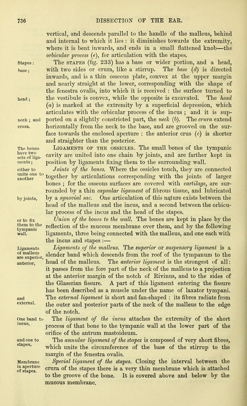 vertical, and descends parallel to the handle of the malleus, behind and internal to which it lies : it diminishes towards the extremity, where it is bent inwards, and ends in a small flattened knob—the orbicular process (e), for articulation with the stapes. Stapes: The stapes (fig. 233) has a base or wider portion, and a head, base; with two sides or crura, like a stirrup. The base (d) is directed inwards, and is a thin osseous plate, convex at the upper margin and nearly straight at the lower, corresponding with the shape of the fenestra ovalis, into which it is received : the surface turned to head • the vestibule is convex, while the opposite is excavated. The head (a) is marked at the extremity by a superficial depression, which articulates with the orbicular process of the incus ; and it is sup- neck ; and ported on a slightly constricted part, the neck (b). The crura extend crura. horizontally from the neck to the base, and are grooved on the sur- face towards the enclosed aperture : the anterior crus (c) is shorter and straighter than the posterior. The bones Ligaments of the ossicles. The small bones of the tympanic sets^rfliga- cavity are united into one chain by joints, and are farther kept in ments; position by ligaments fixing them to the surrounding wall, either to Joints of the bones. Where the ossicles touch, they are connected another6 t0 together by articulations corresponding with the joints of larger bones ; for the osseous surfaces are covered with cartilage, are sur- rounded by a thin capsular ligament of fibrous tissue, and lubricated by joints, by a synovial sac. One articulation of this nature exists between the head of the malleus and the incus, and a second between the orbicu- lar process of the incus and the head of the stapes, or to fix Union of the bones to the wall. The bones are kept in place by the tympaniche reflecti011 of the mucous membrane over them, and by the following wall. ligaments, three being connected with the malleus, and one each with the incus and stapes :— Ligaments Ligaments of the malleus. The superior or suspensory ligament is a are^uperior slen<ler band which descends from the roof of the tympanum to the anterior, ' head of the malleus. The anterior ligament is the strongest of all: it passes from the fore part of the neck of the malleus to a projection at the anterior margin of the notch of Rivinus, and to the sides of the Glaserian fissure. A part of this ligament entering the fissure has been described as a muscle under the name of laxator tympani. and The external ligament is short and fan-shaped : its fibres radiate from external. fae outer and posterior parts of the neck of the malleus to the edge of the notch. One band to The ligament of the incus attaches the extremity of the short mcus, process of that bone to the tympanic wall at the lower part of the orifice of the antrum mastoideum. and one to The annular ligament of the stapes is composed of very short fibres, s Pes* which unite the circumference of the base of the stirrup to the margin of the fenestra ovalis. Membrane Special ligament of the stapes. Closing the interval between the of stepesFe crura °f tne stapes there is a very thin membrane which is attached to the groove of the bone. It is covered above and below by the mucous membrane.