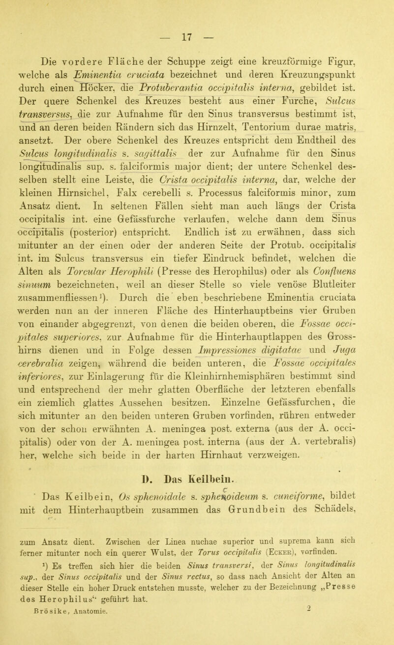 Die vordere Fläche der Schuppe zeigt eine kreuzförmige Figur, welche als Eminentia cruciata bezeichnet und deren Kreuzungspunkt durch einen Höcker, die Frotiiberantia occipitalis interna, gebildet ist. Der quere Schenkel des Kreuzes besteht aus einer Furche, Sillens transversus, die zur Aufnahme für den Sinus transversus bestimmt ist, und an deren beiden Rändern sich das Hirnzelt, Tentorium durae matris, ansetzt. Der obere Schenkel des Kreuzes entspricht dem Endtheil des Sidcus longitudinalis s. sagittalis der zur Aufnahme für den Sinus longitudinalis sup. s. falciformis major dient; der untere Schenkel des- selben stellt eine Leiste, die Crista occipitalis interna, dar, welche der kleinen Hirnsichel, Falx cerebelli s. Processus falciformis minor, zum Ansatz dient. In seltenen Fällen sieht man auch längs der Crista occipitalis int. eine Gefässfurche verlaufen, welche dann dem Sinus occipitalis (posterior) entspricht. Endlich ist zu erwähnen, dass sich mitunter an der einen oder der anderen Seite der Protub. occipitalis int. im Sulcus transversus ein tiefer Eindruck befindet, welchen die Alten als Torcular Herophili (Presse des Herophilus) oder als Confluens sinuum bezeichneten, weil an dieser Stelle so viele venöse Blutleiter zusammenfliessenJ). Durch die eben beschriebene Eminentia cruciata werden nun an der inneren Fläche des Hinterhauptbeins vier Gruben von einander abgegrenzt, von denen die beiden oberen, die Fossae occi- pitales super ior es. zur Aufnahme für die Hinterhauptlappen des Gross- hirns dienen und in Folge dessen Impressiones digitatae und Juga cerebralia zeigen, während die beiden unteren, die Fossae occipitales inferiores, zur Einlagerung für die Kleinhirnhemisphären bestimmt sind und entsprechend der mehr glatten Oberfläche der letzteren ebenfalls ein ziemlich glattes Aussehen besitzen. Einzelne Gefässfurchen, die sich mitunter an den beiden unteren Gruben vorfinden, rühren entweder von der schon erwähnten A. meningea post. externa (aus der A. occi- pitalis) oder von der A. meningea post. interna (aus der A. vertebralis) her. welche sich beide in der harten Hirnhaut verzweigen. D. Das Keilbein. Das Keilbein, Os sphenoidale s. spJiemideum s. cuneiforme, bildet mit dem Hinterhauptbein zusammen das Grundbein des Schädels. zum Ansatz dient. Zwischen der Linea nuchae superior und suprema kann sich ferner mitunter noch ein querer Wulst, der Torus occipitalis (Eckee), vorfinden. *) Es treffen sich hier die beiden Sinus transversi, der Sinus longitudinalis sup., der Sinus occipitalis und der Sinus rectus, so dass nach Ansicht der Alten an dieser Stelle ein hoher Druck entstehen musste, welcher zu der Bezeichnung „Presse des Herophilus1, geführt hat. Brösike, Anatomie. ~