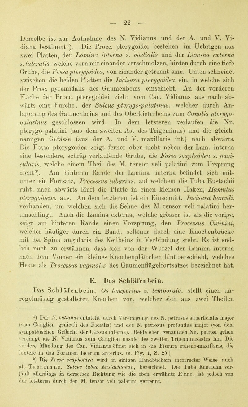 Derselbe ist zur Aufnahrae des N. Vidianus und der A. und V. Vi- diana bestimmt1). Die Procc. pterygoidei bestehen im Uebrigen aus zwei Platten, der Lamina interna s. rnedialis und der Lamina externa s. lateralis, welche vorn mit einander verschmolzen, hinten durch eine tiefe Grube, die Fossa pterygoidea, von einander getrennt sind. Unten schneidet zwischen die beiden Platten die Incisura pterygoidea ein, in welche sich der Proc. pyramidalis des Gaumenbeins einschiebt. An der vorderen Fläche der Procc. pterygoidei zieht vom Can. Vidianus aus nach ab- wärts eine Furche, der Sulcus pterygo-palatinus, welcher durch An- lagerung des Gaumenbeins und des Oberkieferbeins zum Canalis pterygo- palatinus geschlossen wird. In dem letzteren verlaufen die Nn. pterygo-palatini (aus dem zweiten Ast des Trigeminus) und die gleich- namigen Gefässe (aus der A. und V. maxillaris int.) nach abwärts. Die Fossa pterygoidea zeigt ferner oben dicht neben der Lam. interna eine besondere, schräg verlaufende Grube, die Fossa scaphoidea s. navi- cularis, welche einem Theil des M. tensor veli palatini zum Ursprung dient2). Am hinteren Rande der Lamina interna befindet sich mit- unter ein Fortsatz, Processus tubarins, auf welchem die Tuba Eustachii ruht; nach abwärts läuft die Platte in einen kleinen Haken, Hamulus pterygoideus, aus. An dem letzteren ist ein Einschnitt, Incisura hamuli, vorhanden, um welchen sich die Sehne des M. tensor veli palatini her- umschlingt. Auch die Lamina externa, welche grösser ist als die vorige, zeigt am hinteren Rande einen Vorsprung, den Processus Civinini, welcher häufiger durch ein Band, seltener durch eine Knochenbrücke mit der Spina angularis des Keilbeins in Verbindung steht. Es ist end- lich noch zu erwähnen, dass sich von der Wurzel der Lamina interna nach dem Vomer ein kleines Knochenplättchen hinüberschiebt, welches Henle als Processus vaginalis des Gaumenflügelfortsatzes bezeichnet hat. E. Bas Schläfenbein. Das Schläfenbein, Os temporum s. temporale, stellt einen un- regelmässig gestalteten Knochen vor, welcher sich aus zwei Theilen *) Der N. vidianus entsteht durch Vereinigung des N. petrosus superficialis major (vom Ganglion geniculi des Facialis) und des N. petrosus profundus major (von dem sympathischen Geflecht der Carotis interna). Beide eben genannten Nn. petrosi gehen vereinigt als N. Vidianus zum Ganglion nasale des zweiten Trigeminusastes hin. Die vordere Mündung des Can. Vidianus öffnet sich in die Fissura spheno-maxillaris, die hintere in das Foramen lacerum anterius. (s. Fig. 1, S. 29.) 2) Die Fossa scaphoidea wird in einigen Handbüchern incorrecter Weise auch als Tuba rinne, Sulcus tubae Eustachianae, bezeichnet. Die Tuba Eustachii ver- läuft allerdings in derselben Richtung wie die eben erwähnte Rinne, ist jedoch von der letzteren durch den M. tensor veli palatini getrennt.