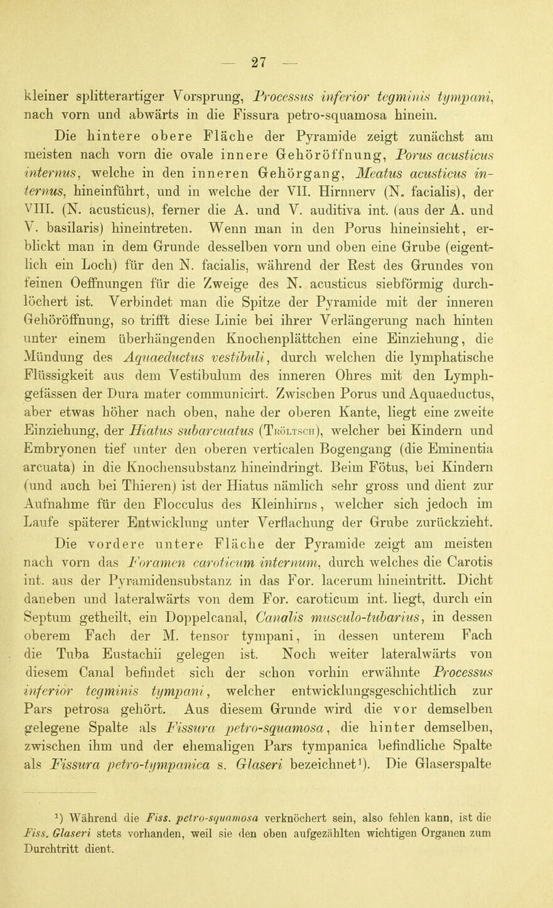 kleiner splitterartiger Vorsprung, Processus inferior tegminis tympani, nach vorn und abwärts in die Fissura petro-squamosa hinein. Die hintere obere Fläche der Pyramide zeigt zunächst am meisten nach vorn die ovale innere Gehöröffnung, Poms acusticus internus, welche in den inneren Gehörgang, Meatus acusticus in- ternus, hineinführt, und in welche der VII. Hirnnerv (N. facialis), der VIII. (N. acusticus), ferner die A. und V. auditiva int. (aus der A. und V. basilaris) hineintreten. Wenn man in den Poms hineinsieht, er- blickt man in dem Grunde desselben vorn und oben eine Grube (eigent- lich ein Loch) für den N. facialis, während der Rest des Grundes von feinen Oeffnungen für die Zweige des N. acusticus siebförmig durch- löchert ist. Verbindet man die Spitze der Pyramide mit der inneren Gehör Öffnung, so trifft diese Linie bei ihrer Verlängerung nach hinten unter einem überhängenden Knochenplättchen eine Einziehung, die Mündung des Aquaeductus vestibuli, durch welchen die lymphatische Flüssigkeit aus dem Vestibulum des inneren Ohres mit den Lymph- gefässen der Dura mater communicirt. Zwischen Porus und Aquaeductus, aber etwas höher nach oben, nahe der oberen Kante, liegt eine zweite Einziehung, der Hiatus subarcuatus (Teöltsch), welcher bei Kindern und Embryonen tief unter den oberen verticalen Bogengang (die Eminentia arcuata) in die Knochensubstanz hineindringt. Beim Fötus, bei Kindern (und auch bei Thieren) ist der Hiatus nämlich sehr gross und dient zur Aufnahme für den Flocculus des Kleinhirns, welcher sich jedoch im Laufe späterer Entwicklung unter Verflachung der Grube zurückzieht. Die vordere untere Fläche der Pyramide zeigt am meisten nach vorn das Foramen caroticum internum, durch welches die Carotis int. aus der Pyramidensubstanz in das For. lacerum hineintritt. Dicht daneben und lateralwärts von dem For. caroticum int. liegt, durch ein Septum getheilt, ein Doppelcanal, Ganalis musculo-tubarius, in dessen oberem Fach der M. tensor tympani, in dessen unterem Fach die Tuba Eustachii gelegen ist. Noch weiter lateralwärts von diesem Canal befindet sich der schon vorhin erwähnte Processus inferior tegminis tympani, welcher entwickiungsgeschichtlich zur Pars petrosa gehört. Aus diesem Grunde wird die vor demselben gelegene Spalte als Fissura petro-squamosa, die hinter demselben, zwischen ihm und der ehemaligen Pars tympanica befindliche Spalte als Fissura petro-tympanica s. Glaseri bezeichnet1). Die Glaserspalte a) Während die Fiss. petro-squamosa verknöchert sein, also fehlen kann, ist die Fiss. Glaseri stets vorhanden, weil sie den oben aufgezählten wichtigen Organen zum Durchtritt dient.