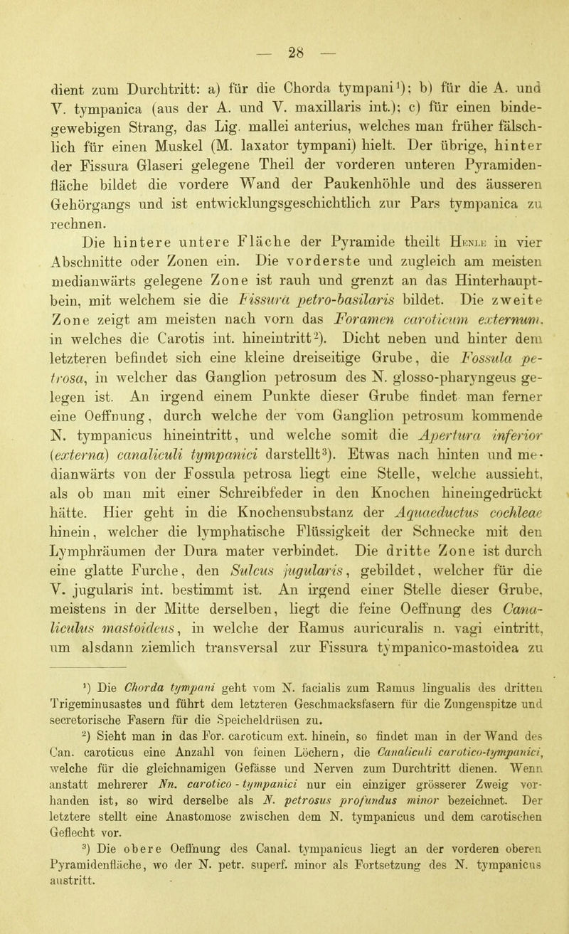 dient zum Durchtritt: a) für die Chorda tympani1); b) für die A. und V. tympanica (aus der A. und V. maxillaris int.); c) für einen binde- gewebigen Strang, das Lig. mallei anterius, welches man früher fälsch- lich für einen Muskel (M. laxator tympani) hielt. Der übrige, hinter der Fissura Glaseri gelegene Theil der vorderen unteren Pyramiden- fläche bildet die vordere Wand der Paukenhöhle und des äusseren Gehörgangs und ist entwicklungsgeschichtlich zur Pars tympanica zu rechnen. Die hintere untere Fläche der Pyramide theilt Henle in vier Abschnitte oder Zonen ein. Die vorderste und zugleich am meisten medianwärts gelegene Zone ist rauh und grenzt an das Hinterhaupt- bein, mit welchem sie die Fissura petro-basilaris bildet. Die zweite Zone zeigt am meisten nach vorn das Foramen caroticum externum. in welches die Carotis int. hineintritt'2). Dicht neben und hinter dem letzteren befindet sich eine kleine dreiseitige Grube, die Fossula pe- trosa, in welcher das Ganglion petrosum des N. glosso-pharyngeus ge- legen ist. An irgend einem Punkte dieser Grube findet man ferner eine Oeffnung, durch welche der vom Ganglion petrosum kommende N. tympanicus hineintritt, und welche somit die Apertura inferior (externa) canaliculi tympanici darstellt3). Etwas nach hinten und me- dianwärts von der Fossula petrosa liegt eine Stelle, welche aussieht, als ob man mit einer Schreibfeder in den Knochen hineingedrückt hätte. Hier geht in die Knochensubstanz der Aquaeductus Cochleae hinein, welcher die lymphatische Flüssigkeit der Schnecke mit den Lymphräumen der Dura mater verbindet. Die dritte Zone ist durch eine glatte Furche, den Sulcus jugularis, gebildet, welcher für die V. jugularis int. bestimmt ist. An irgend einer Stelle dieser Grube, meistens in der Mitte derselben, liegt die feine Oeffnung des Cana- liculus mastoideus, in welche der Ramus auricuralis n. vagi eintritt, um alsdann ziemlich transversal zur Fissura tympanico-mastoidea zu J) Die Chorda tympani geht vom N. facialis zum Ramus lingualis des dritten Trigeminusastes und führt dem letzteren Geschmacksfasern für die Zungenspitze und secretorische Fasern für die Speicheldrüsen zu. 2) Sieht man in das For. caroticum ext. hinein, so findet man in der Wand des Can. caroticus eine Anzahl von feinen Löchern, die Canaliculi carotico-tympanici, welche für die gleichnamigen Gefässe und Nerven zum Durchtritt dienen. Wenn anstatt mehrerer Nn. carotico - tympanici nur ein einziger grösserer Zweig vor- handen ist, so wird derselbe als N. petrosus profundus minor bezeichnet. Der letztere stellt eine Anastomose zwischen dem N. tympanicus und dem carotisehen Geflecht vor. 3) Die obere Oeffnung des Canal. tympanicus liegt an der vorderen oberer. Pyramidenfläche, wo der N. petr. superf. minor als Fortsetzung des N. tympanicus austritt.