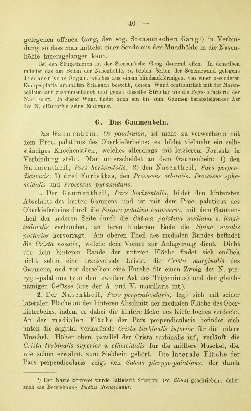 gelegenen offenen Gang, den sog. Stensonschen Gang1) in Verbin- dung, so dass man mittelst einer Sonde aus der Mundhöhle in die Nasen- höhle hineingelangen kann. Bei den Säugethieren ist der Stenson'sche Gang dauernd offen. In denselben mündet das am Boden der Nasenhöhle, zu beiden Seiten der Scheidewand gelegene Jacobson'scheOrgan, welches aus einem blindsackförmigen, von einer besonderen Knorpelplatte umhüllten Schlauch besteht, dessen Wand continuirlich mit der Nasen- schleimhaut zusammenhängt und genau dieselbe Structur wie die Eegio olfactoria der Nase zeigt. In dieser Wand findet auch ein bis zum Gaumen herabsteigender Ast des N. olfactorius seine Endigung. GL Das Graumenlbeiii. Das Gaumenbein, Os palatinum, ist nicht zu verwechseln mit dem Proc. palatinus des Oberkieferbeins; es bildet vielmehr ein selb- ständiges Knochenstück, welches allerdings mit letzterem Fortsatz in Verbindung steht. Man unterscheidet an dem Gaumenbein: 1) den Gaumentheil, Pars horizontalis; 2) den Nasentheil, Pars perpen- dicularis; 3) drei Fortsätze, den Processus orbitalis, Processus sphe- noidalis und Processus pyramidalis. 1. Der Gaumentheil, Pars horizontalis, bildet den hintersten Abschnitt des harten Gaumens und ist mit dem Proc. palatinus des Oberkieferbeins durch die Sutura palatina transversa, mit dem Gaumen- theil der anderen Seite durch die Sutura palatina mediana s. longi- tudinalis verbunden, an deren hinterem Ende die Spina nasalis posterior hervorragt. Am oberen Theil des medialen Randes befindet die Crista nasalis, welche dem Vomer zur Anlagerung dient. Dicht vor dem hinteren Rande der unteren Fläche findet sich endlich nicht selten eine transversale Leiste, die Crista marginalis des Gaumens, und vor derselben eine Furche für einen Zweig des N. pte- rygo-palatinus (von dem zweiten Ast des Trigeminus) und der gleich- namigen Gefässe (aus der A. und V. maxillaris int.). 2. Der Nasentheil, Pars perpendicularis, legt sich mit seiner lateralen Fläche an den hinteren Abschnitt der medialen Fläche des Ober- kieferbeins, indem er dabei die hintere Ecke des Kieferloches verdeckt. An der medialen Fläche der Pars perpendicularis befindet sich unten die sagittal verlaufende Crista turbinalis inferior für die untere Muschel. Höher oben, parallel der Crista turbinalis inf, verläuft die Crista turbinalis superior s. ethmoidalis für die mittlere Muschel, die, wie schon erwähnt, zum Siebbein gehört. Die laterale Fläche der Pars perpendicularis zeigt den Sulcus pterygo-palatinus, der durch *) Der Name Stenson wurde latinisirt Stenonis (sc. filius) geschrieben; daher auch die Bezeichnung Ductus Stenonianus.