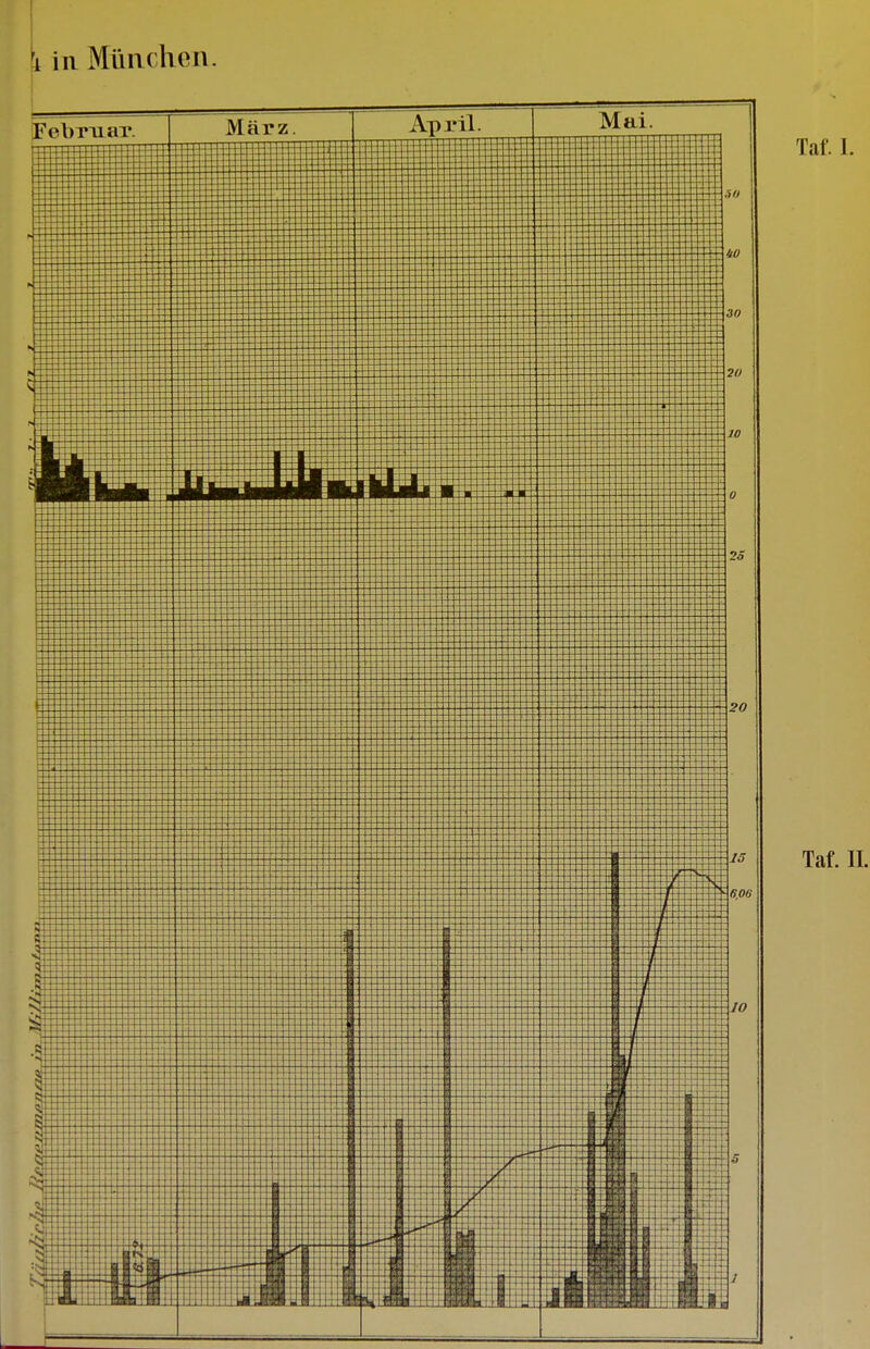 iR München. Taf. I. Taf. II.