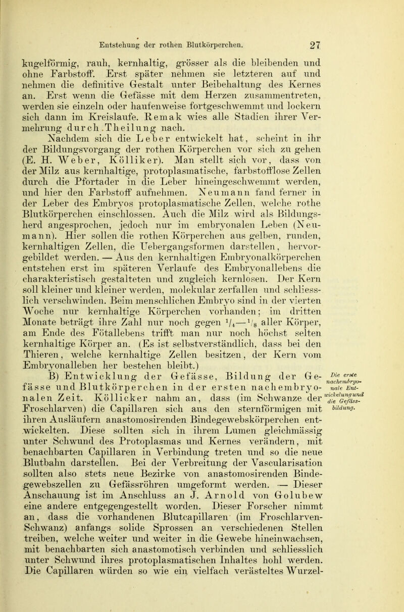 kugelförmig, ranh, kernhaltig, grösser als die bleibenden und ohne Farbstoff. Erst später nehmen sie letzteren auf und nehmen die definitive Gestalt unter Beibehaltung des Kernes an. Erst wenn die Gefässe mit dem Herzen zusammentreten, werden sie einzeln oder haufenweise fortgeschwemmt und lockern sich dann im Kreislaufe. Remak wies alle Stadien ihrer Ver- mehrung durch-Theilung nach. Nachdem sich die Leber entwickelt hat, scheint in ihr der Bildungsvorgang der rothen Körperchen vor sich zu gehen (E. H. Weber, Kölliker). Man stellt sich vor, dass von der Milz aus kernhaltige, protoplasmatische, farbstofflose Zellen durch die Pfortader in die Leber hineingeschwemmt werden, und hier den Farbstoff aufnehmen. Neu mann fand ferner in der Leber des Embryos protoplasmatische Zellen, welche rothe Blutkörperchen einschlössen. Auch die Milz wird als Bildungs- herd angesprochen, jedoch nur im embryonalen Leben (Neu- mann). Hier sollen die rothen Körperchen aus gelben, runden, kernhaltigen Zellen, die Uebergangsformen darstellen, liervor- gebildet werden. — Aus den kernhaltigen Embryonalkörperchen entstehen erst im späteren Verlaufe des Embryonallebens die charakteristisch gestalteten und zugleich kernlosen. Der Kern soll kleiner und kleiner werden, molekular zerfallen und schliess- lich verschwinden. Beim menschlichen Embryo sind in der vierten Woche nur kernhaltige Körperchen vorhanden; im dritten Monate beträgt ihre Zahl nur noch gegen —^'8 aller Körper, am Ende des Fötallebens trifft man nur noch höchst selten kernhaltige Körper an. (Es ist selbstverständlich, dass bei den Thieren, welche kernhaltige Zellen besitzen, der Kern vom Embryonalleben her bestehen bleibt.) B) Entwicklung der Gefässe, Bildung der Ge- ^''f^ O ' O TidcJl^TTlÖT'ljO' fässe und Blutkörperchen in der ersten nachembryo- naie Ent- nalen Zeit. Köllicker nahm an, dass (im Schwänze der^^JJ^^}^ Froschlarven) die Capillaren sich aus den sternförmigen mit ^^dung. ihren Ausläufern anastomosirenden Bindegewebskörperchen ent- wickelten. Diese sollten sich in ihrem Lumen gleichmässig unter Schwund des Protoplasmas und Kernes verändern, mit benachbarten Capillaren in Verbindung treten und so die neue Blutbahn darstellen. Bei der Verbreitung der Vascularisation sollten also stets neue Bezirke von anastomosirenden Binde- gewebszellen zu Gefässröhren umgeformt werden. — Dieser Anschauung ist im Anschluss an J. Arnold von Golubew eine andere entgegengestellt worden. Dieser Forscher nimmt an, dass die vorhandenen Blutcapillaren (im Froschlarven- Schwanz) anfangs solide Sprossen an verschiedenen Stellen treiben, welche weiter und weiter in die Gewebe hineinwachsen, mit benachbarten sich anastomotisch verbinden und schliesslich unter Schwund ihres protoplasmatischen Inhaltes hohl werden. Die Capillaren würden so wie ein vielfach verästeltes Wurzel-