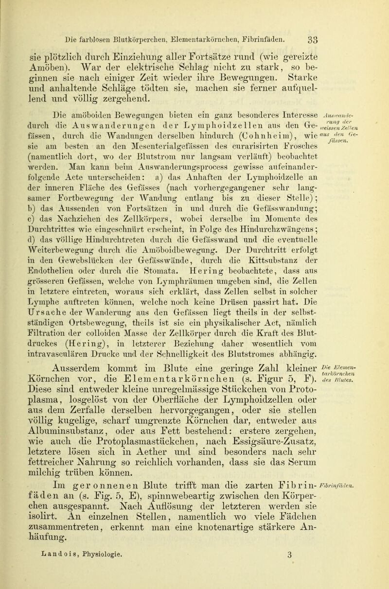 sie plötzlich durch Einziehung aller Fortsätze rund (wie gereizte Amöben). War der elektrische Schlag nicht zu stark, so be- ginnen sie nach einiger Zeit wieder ihre Bewegungen. Starke und anhaltende Schläge tödten sie, machen sie ferner aufquel- lend und völlig zergehend. Die amöboiden Bewegungen bieten ein ganz besonderes Interesse Aiui'mn'ic- durcli die Auswanderungen der Lymplioidze Uen aus den ,JSn 'zeiien fassen, durch die Wandungen derselben hindurch (Cohnheim), wie'^•^^..^^^^^ sie am besten an den Mesenterialgeftissen des curarisirten Frosches (namentlich dort, wo der Blutstrom nur langsam verläuft) beobachtet werden. Man kann beim Auswanderungsprocess gewisse aufeinander- folgende Acte unterscheiden: a) das Anhaften der Lymphoidzelle an der inneren Fläche des Gefässes (nach vorhergegangener sehr lang- samer Fortbewegung der Wandung entlang bis zu dieser Stelle); b) das Aussenden von Fortsätzen in und durch die Gefässwandung; c) das Nachziehen des Zellkörpers, wobei derselbe im Momente des Durchtrittes wie eingeschnürt erscheint, in Folge des Hindurchzwängens; d) das völlige Hindurchtreten durch die Gefässwand und die eventuelle Weiterbewegung durch die Amöboidbewegung. Der Durchtritt erfolgt in den Gewebsliicken der Gefässwände, durch die Kittsubstanz der Endothelien oder durch die Stomata. Hering beobachtete, dass aus grösseren Gefässen, welche von Lymphräumen umgeben sind, die Zellen in letztere eintreten, woraus sich erklärt, dass Zellen selbst in solcher Lymphe auftreten können, welche noch keine Drüsen passirt hat. Die Ursache der Wanderung aus den Gefässen liegt theils in der selbst- ständigen Ortsbewegung, theils ist sie ein physikalischer Act, nämlich Filtration der colloiden Masse der Zellkörper durch die Kraft des Blut- druckes (Hering), in letzterer Beziehung daher wesentlich vom intravasculären Drucke und der Schnelligkeit des Blutstromes abhängig. Ausserdem kommt im Blute eine geringe Zahl kleiner -JJ^^;?!^^'; Körnchen vor, die Elementarkörnchen (s. Figur 5, F). des Blutes. Diese sind entweder kleine unregelmässige Stückchen von Proto- plasma, losgelöst von der Oberfläche der LymphoidzeUen oder aus dem Zerfalle derselben hervorgegangen, oder sie stellen völlig kugelige, scharf umgrenzte Körnchen dar, entweder aus Albuminsubstanz, oder aus Fett bestehend: erstere zergehen, wie auch die Protoplasmastückchen, nach Essigsäure-Zusatz, letztere lösen sich in Aether und sind besonders nach sehr fettreicher Nahrung so reichlich vorhanden, dass sie das Serum milchig trüben können. Im geronnenen Blute trifft man die zarten 'F ihTixi- Fibrinjuden. fäden an (s. Fig. 5, E), spinnwebeartig zwischen den Körper- chen ausgespannt. Nach Auflösung der letzteren werden sie isolirt. An einzelnen SteUen, namentlich wo viele Fädchen zusammentreten, erkennt man eine knotenartige stärkere An- häufung. L a n d 0 i s, Physiologie. 3