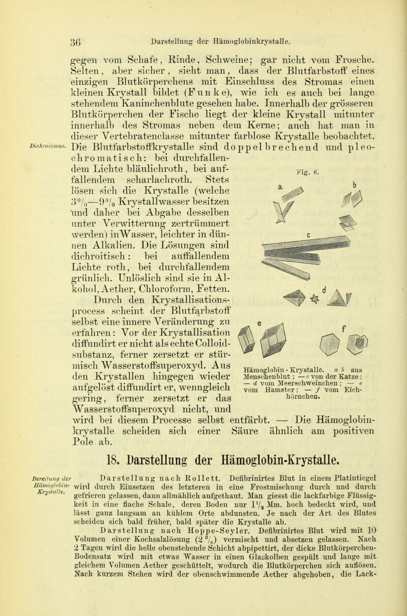 Dichroismus. gegen vom Schafe, Rinde, Schweine; gar nicht vom Frosche. Selten, aber sicher , sieht man, dass der Blutfarbstoff eines, einzigen Blutkörperchens mit Einschluss des Stromas einen kleinen Krystall bildet (Funk e), wie ich es auch bei lange stehendem Kaninchenblute gesehen habe. Innerhalb der grösseren Blutkörperchen der Fische liegt der kleine Krystall mitunter innerhalb des Stromas neben dem Kerne; auch hat man in dieser Vertebratenclasse mitunter farblose Krystalle beobachtet. Die Blutfarbstoff krystalle sind doppel brechend und p leo- chromatisch: bei durchfallen- dem Lichte bläulichroth, bei auf- fallendem scharlachroth. Stets lösen sich die Krystalle (welche 3^/0—9^/0 KryStallwasser besitzen \ind daher bei Abgabe desselben unter Verwitterung zertrümmert werden) inWasser, leichter in dün- nen Alkalien. Die Lösungen sind dichroitisch: bei auffallendem Lichte roth, bei durchfallendem grünlich. Unlöslich sind sie in Al- kohol, Aether, Chloroform, Fetten. Durch den Krystallisations- process scheint der Blutfarbstoff selbst eine innere Veränderung zu erfahren: Vor der Krystallisation diffundirt er nicht als echte CoUoid- substanz, ferner zersetzt er stür- misch Wasserstoffsuperoxyd. Aus den Krystallen hingegen wieder aufgelöst diffundirt er, wenngleich gering, ferner zersetzt er das Wasserstoffsuperoxyd nicht, und wird bei diesem Processe selbst entfärbt. — Die Hämoglobin- krystalle scheiden sich einer Säure ähnlich am positiven Pole ab. Hämoglobin - Krystalle. a h aus Menschenblut ; — c von der Katze: — d vom Meerschweinchen ; — e vom Hamster; — / vom Eich- hörnchen. 18. Darstellung der Hämoglobin-Krystalle. Bereitung der Darstellung nach Eollett. Defibrinirtes Blut in einem Platintiegel Hmnogiohin- -wird durch Einsetzen des letzteren in eine Frostmischung durch und durch rysta e. gefj.jej.ej^ gelassen, dann allmählich aufgethaut. Man giesst die lackfarbige Flüssig- keit in eine flache Schale, deren Boden nui* IV2 Mm. hoch bedeckt wird, und lässt ganz langsam an kühlem Orte abdunsten. Je nach der Art des Blutes scheiden sich bald früher, bald später die Krystalle ab, Darstellung nach Hoppe-Seyler. Defibrinirtes Blut wird mit 10 Volumen einer Kochsalzlösung (2 %) vermischt und absetzen gelassen. Nach 2 Tagen wird die helle obenstehende Schicht abpipettirt, der dicke Blutkörperchen- Bodensatz Avird mit etwas Wasser in einen Glaskolben gespült und lange mit gleichem Volumen Aether geschüttelt, wodurch die Blutkörperchen sich auflösen. Nach kurzem Stehen wird der obenschwimmende Aether abgehoben, die Lack-