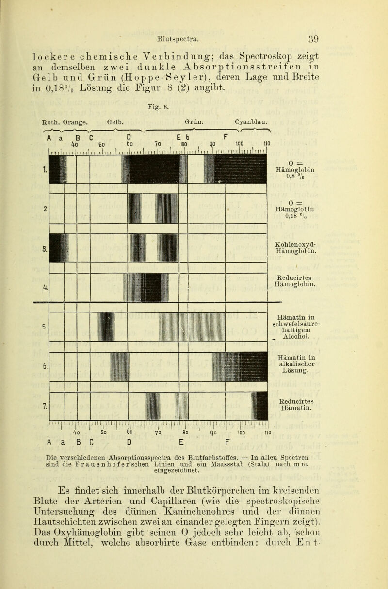 lockere chemisclie Verbindung; das Spectroskop zeigt an demselben zwei dunkle Absorptionsstreifen in Grelb und Grrün (Hopp e- S ey 1 er), deren Lage und Breite in 0,18^0 Lösung die Figur 8 (2) angibt. Fig. Eoth. Orange. Gelb. Grün. Cyanblau. 40 5o A a B C 0 = Hämoglobin 0,8 o/o 0 = Hämoglobin 0,18 /n Hämatin in alkalischer Lösung. Reducirtes Hämatin. Die verschiedenen Absorptionsspectra des Blutfarbstoffes. — In allen Spectren sind die Frau en ho fer'schen Linien und ein Maassstab (Scala) nach mm. eingezeichnet. Es findet sieb innerbalb der Blutkörpereben im kreisenden Blute der Arterien und Ca]3illaren (wie die spectroskopiscbe Untersucbung des dünnen Kanincbenobres und der dünnen Hautscbicbten zwiscben zwei an einander gelegten Fingern zeigt). Das Oxybämoglobin gibt seinen 0 jedoch sehr leicht ab, schon durch Mittel, welche absorbirte Gase entbinden: durch En t-