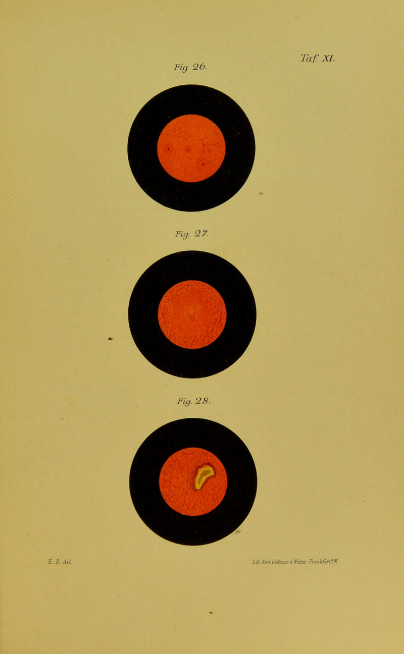 Fig 26.