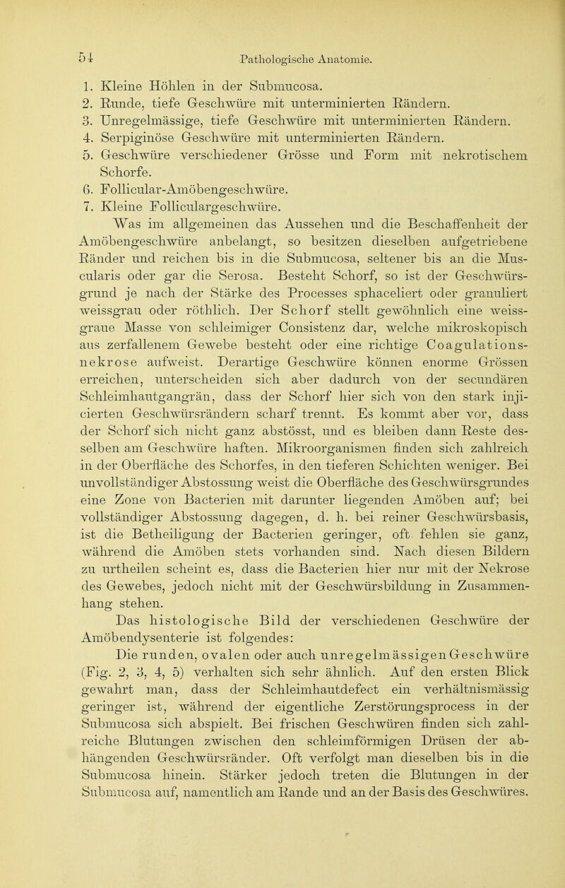 1. Kleine Höhlen in der Submucosa. 2. Runde, tiefe Geschwüre mit unterminierten Rändern. 3. Unregelmässige, tiefe Geschwüre mit unterminierten Rändern. 4. Serpiginöse Geschwüre mit unterminierten Rändern. 5. Geschwüre verschiedener Grösse und Form mit nekrotischem Schorfe. 6. Follicular-Amöbengeschwüre. 7. Kleine Folliculargeschwüre. Was im allgemeinen das Aussehen und die Beschaffenheit der Amöbengeschwüre anbelangt, so besitzen dieselben aufgetriebene Ränder und reichen bis in die Submucosa, seltener bis an die Mus- cularis oder gar die Serosa. Besteht Schorf, so ist der Geschwürs- grund je nach der Stärke des Processes sphaceliert oder granuliert weissgrau oder röthlich. Der Schorf stellt gewöhnlich eine weiss- graue Masse von schleimiger Consistenz dar, welche mikroskopisch aus zerfallenem Gewebe besteht oder eine richtige Coagulations- nekrose aufweist. Derartige Geschwüre können enorme Grössen erreichen, unterscheiden sich aber dadurch von der secundären Schleimhautgangrän, dass der Schorf hier sich von den stark inji- cierten Geschwürsrändern scharf trennt. Es kommt aber vor, dass der Schorf sich nicht ganz abstösst, und es bleiben dann Reste des- selben am Geschwüre haften. Mikroorganismen finden sich zahlreich in der Oberfläche des Schorfes, in den tieferen Schichten weniger. Bei unvollständiger Abstossung weist die Oberfläche des Geschwürsgrundes eine Zone von Bacterien mit darunter liegenden Amöben auf; bei vollständiger Abstossung dagegen, d. h. bei reiner Geschwürsbasis, ist die Betheiligung der Bacterien geringer, oft fehlen sie ganz, während die Amöben stets vorhanden sind. Nach diesen Bildern zu urtheilen scheint es, dass die Bacterien hier nur mit der Nekrose des Gewebes, jedoch nicht mit der Geschwürsbildung in Zusammen- hang stehen. Das histologische Bild der verschiedenen Geschwüre der Amöbendysenterie ist folgendes: Die runden, ovalen oder auch unregelmässigen Geschwüre (Fig. 2, 3, 4, 5) verhalten sich sehr ähnlich. Auf den ersten Blick gewahrt man, dass der Schleimhautdefect ein verhältnismässig geringer ist, während der eigentliche Zerstörungsprocess in der Submucosa sich abspielt. Bei frischen Geschwüren finden sich zahl- reiche Blutungen zwischen den schleimförmigen Drüsen der ab- hängenden Geschwürsränder. Oft verfolgt man dieselben bis in die Submucosa hinein. Stärker jedoch treten die Blutungen in der Submucosa auf, namentlich am Rande und an der Basis des Geschwüres.