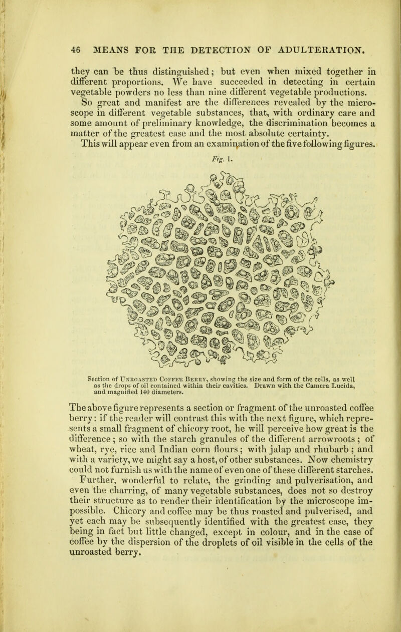 they can be thus distinguished; but even when mixed together in diflferent proportions. We have succeeded in detecting in certain vegetable powders no less than nine different vegetable productions. So great and manifest are the differences revealed by the micro- scope in different vegetable substances, that, with ordinary care and some amount of preliminary knowledge, the discrimination becomes a matter of the greatest ease and the most absolute certainty. This will appear even from an examii^ation of the five following figures. Fig. 1. Section of Unroasted Coffee Berry, showing the size and form of the cells, as well as the drops of oil contained within their cavities. Drawn with the Camera Lucida, and magnified 140 diameters. The above figure represents a section or fragment of the unroasted coffee berry: if the reader will contrast this with the next figure, which repre- sents a small fragment of chicory root, he will perceive how great is the difference; so with the starch granules of the different arrowroots ; of wheat, rye, rice and Indian corn flours; with jalap and rhubarb ; and with a variety, we might say a host, of other substances. Now chemistry could not furnish us with the name of even one of these different starches. Further, wonderful to relate, the grinding and pulverisation, and even the charring, of many vegetable substances, does not so destroy their structure as to render their identification by the microscope im- possible. Chicory and coffee may be thus roasted and pulverised, and yet each may be subsequently identified with the greatest ease, they being in fact but little changed, except in colour, and in the case of coffee by the dispersion of the droplets of oil visible in the cells of the unroasted berry.