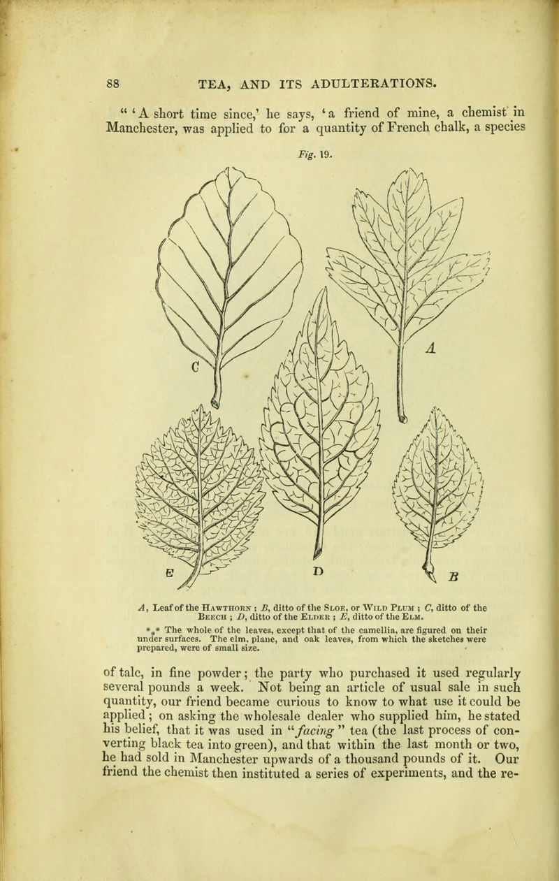  'A short time since,' he says, 'a friend of mine, a chemist in Manchester, was applied to for a quantity of French chalk, a species Fig. 19. A, Leaf of the Hawthorn ; B, ditto of the Sloe, or Wild Plum ; C, ditto of the Beisch ; D, ditto of the Elder ; E, ditto of the Elm. *^* The whole of the leaves, except that of the camellia, are figured on their under surfaces. The elm, plane, and oak leaves, from which the sketches were prepared, were of small size. of talc, in fine powder; the party who purchased it used regularly several pounds a week. Not being an article of usual sale in such quantity, our friend became curious to know to what use it could be applied; on asking the wholesale dealer who supplied him, he stated his belief, that it was used in ^'-facing  tea (the last process of con- verting black tea into green), and that within the last month or two, he had sold in Manchester upwards of a thousand pounds of it. Our friend the chemist then instituted a series of experiments, and the re-