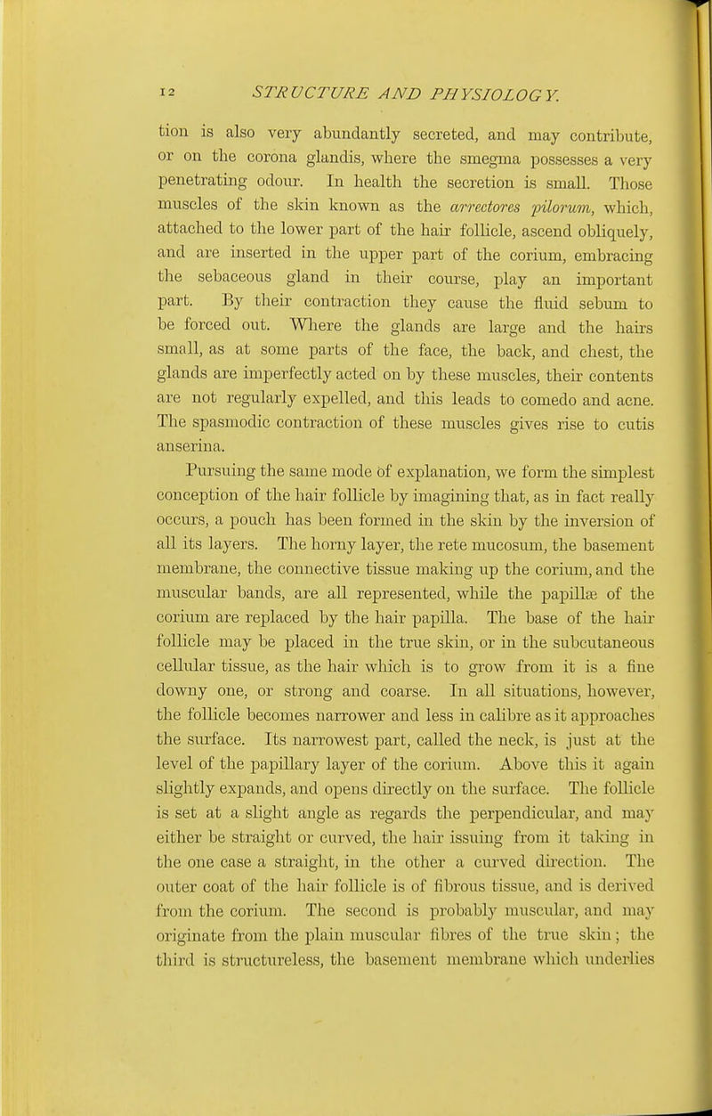 tion is also very abundantly secreted, and may contribute, or on the corona glandis, where the smegma possesses a very penetrating odour. In health the secretion is small. Those muscles of the skin known as the arrectores pilorum, which, attached to the lower part of the hair follicle, ascend obliquely, and are inserted in the upper part of the corium, embracing the sebaceous gland in their course, play an important part. By their contraction they cause the fluid sebum to be forced out. Where the glands are large and the hairs small, as at some parts of the face, the back, and chest, the glands are imperfectly acted on by these muscles, their contents are not regularly expelled, and this leads to comedo and acne. The spasmodic contraction of these muscles gives rise to cutis anserina. Pursuing the same mode of explanation, we form the simplest conception of the hair follicle by imagining that, as in fact really occurs, a pouch has been formed in the skin by the inversion of all its layers. The horny layer, the rete mucosum, the basement membrane, the connective tissue making up the corium, and the muscular bands, are all represented, while the papillae of the corium are replaced by the hair papilla. The base of the hair follicle may be placed in the true skin, or in the subcutaneous cellular tissue, as the hair which is to grow from it is a fine downy one, or strong and coarse. In all situations, however, the follicle becomes narrower and less in calibre as it approaches the surface. Its narrowest part, called the neck, is just at the level of the papillary layer of the corium. Above this it again slightly expands, and opens directly on the surface. The follicle is set at a slight angle as regards the perpendicular, and may either be straight or curved, the hair issuing from it taking in the one case a straight, in the other a curved direction. The outer coat of the hair follicle is of fibrous tissue, and is derived from the corium. The second is probably muscular, and may originate from the plain muscular fibres of the true skin ; the third is structureless, the basement membrane which underlies