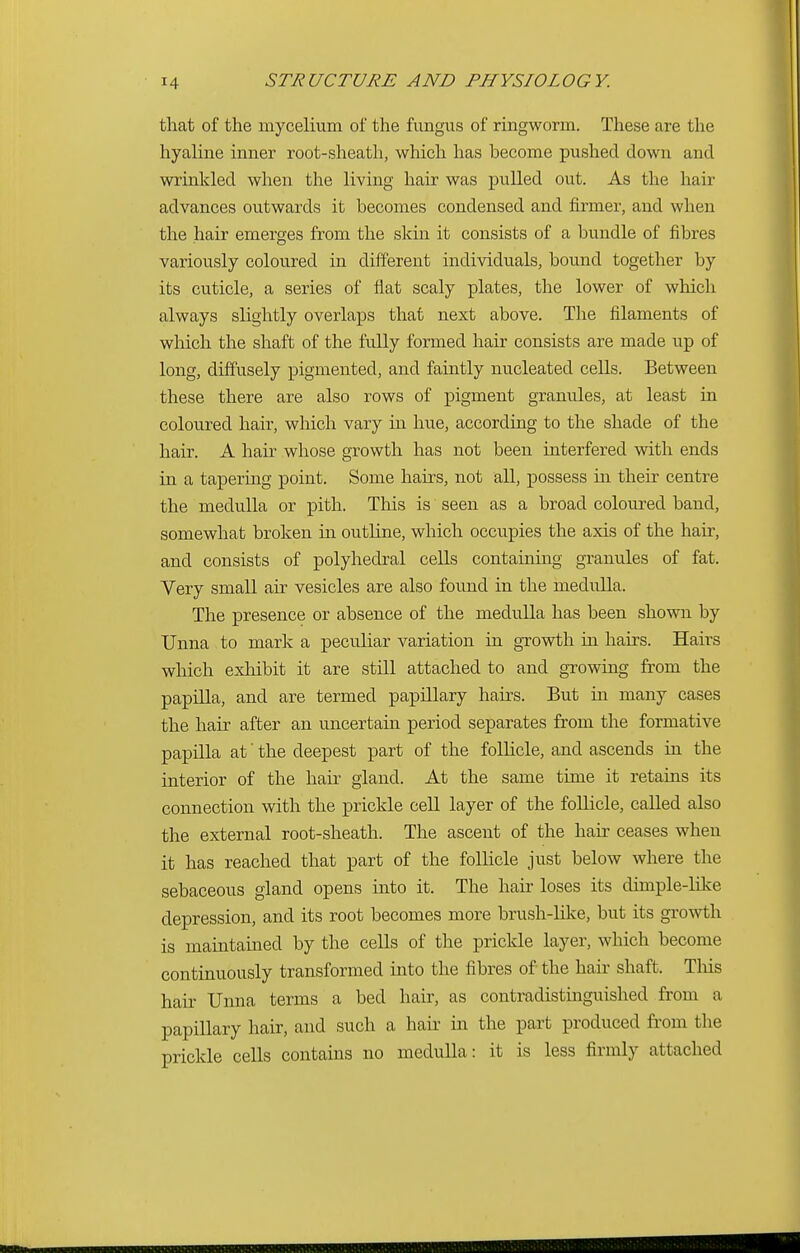 that of the mycelium of the fungus of ringworm. These are the hyaline inner root-sheath, which has become pushed down and wrinkled when the living hair was pulled out. As the hair advances outwards it becomes condensed and firmer, and when the hair emerges from the skin it consists of a bundle of fibres variously coloured in different individuals, bound together by its cuticle, a series of flat scaly plates, the lower of which always slightly overlaps that next above. The filaments of which the shaft of the fully formed hair consists are made up of long, diffusely pigmented, and faintly nucleated cells. Between these there are also rows of pigment granules, at least in coloured hair, which vary in hue, according to the shade of the hair. A hair whose growth has not been interfered with ends in a tapering point. Some hairs, not all, possess in then- centre the medulla or pith. This is seen as a broad coloured band, somewhat broken in outline, which occupies the axis of the hair, and consists of polyhedral cells containing granules of fat. Very small air vesicles are also found in the medxdla. The presence or absence of the medulla has been shown by Unna to mark a peculiar variation in growth in hairs. Hairs which exhibit it are still attached to and growing from the papilla, and are termed papillary hairs. But in many cases the hair after an uncertain period separates from the formative papilla at' the deepest part of the follicle, and ascends in the interior of the hair gland. At the same time it retains its connection with the prickle cell layer of the follicle, called also the external root-sheath. The ascent of the hair ceases when it has reached that part of the follicle just below where the sebaceous gland opens into it. The hair loses its diniple-like depression, and its root becomes more brush-like, but its growth is maintained by the cells of the prickle layer, which become continuously transformed into the fibres of the hair shaft. This hair Unna terms a bed hair, as contradistinguished from a papillary hair, and such a hair in the part produced from the prickle cells contains no medulla: it is less firmly attached