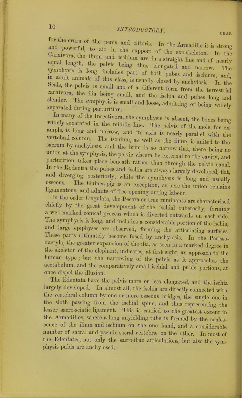 • CHAP. and'';~ -r'^ T ^ the Armadillo it is strong CaliC tS i T ?• '^P^^ exo-skeleton. In tht equr elt tl 1 T-^'^ ^ ^^^^^^^^^ ^^^^ «f nearly equal length, the pelvis being thus elongated and narrow Th. symphysis IS long, includes part of both pubes and isXTm and Seals t T^^ ^^'^^^^ ^^--^ by anchylosis in ; slender. The symphysis is small and loose, admitting of bein- widely separated during parturition. ^ ^ In many of the Insectivora, the symphysis is absent, the bones being wid ly separated m the middle line. The pelvis of the mole, for ex ample, is long and narrow, and its axis is nearly paraUel with the vertebral column The ischium, as well as the iliL, is united to the sacrum by anchylosis, and the brim is so narrow that, there being no union at the symphysis, the pelvic viscera lie external to the cavity, and parturihon takes place beneath rather than through the pelvic canal. In the Eodentia the pubes and ischia are always largely developed, flat, and diverging posteriorly, while the symphysis is long and usually osseous. The Gumea-pig is an exception, as here the union remains ligamentous, and admits of free opening during labour In the order Ungulata, the Pecora or true ruminants are characterised chiefly by the great development of the ischial tuberosity, formin- a well-marked conical process which is diverted outwards on each side'' The symphysis is long, and includes a considerable portion of the ischia and large epiphyses are observed, forming the articulating surfaces These parts ultimately become fused by anchylosis. In the Perisso- dactyla, the greater expansion of the ilia, as seen in a marked degree in the skeleton of the elephant, indicates, at first sight, an approach to the human type; but the narrowing of the pelvis as it approaches the acetabulum, and the comparatively small ischial and pubic portions, at once dispel the illusion. The Edentata have the pelvis more or less elongated, and the ischia largely developed. In almost all, the ischia are directly connected with the vertebral column by one or more osseous bridges, the single one in the sloth passing from the ischial spine, and thus representing the lesser sacro-sciatic ligament. This is carried to the greatest extent in the Armadillos, where a long unyielding tube is formed by the coales- cence of the ilium and ischium on the one hand, and a considerable number of sacral and pseudo-sacral vertebrae on the other. In most of the Edentates, not only the sacro-iliac articulations, but also the sym- physis pubis are auchylosed.