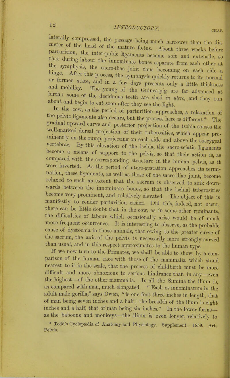 ^^^VT^Tf'f'l ^^'^^^' ^^-S ranch narrower than the dia- ZtnAtll \^ : ^^^,ra.tnre fetus. About three weeks before S d ' i f ' T'P^'' ^'^'^^ ^-^ft --tensile, so thf7 ^'^'T ' ^«^i^te bones separate from each other at ^irfri J^^^^ side a ^m^e. Alter this process, the symphysis quickly returns to its normal Zc Twr^ 'r^^  ^''^ ^'y' P^^^^^ts only a little thickness and mobility. The young of the Guinea-pig are far advanced at oirtli: some of the deciduous teeth are shed in utero, and they run about and begin to eat soon after they see the Hght. In the cow, as the period of parturition approaches, a relaxation of tne pelvic ligaments also occurs, but the process here is different * The gradual upward curve and posterior projection of the ischia causes the well-marked dorsal projection of their tuberosities, which appear pro- nunently on the rump, projecting on each side and above the coccygeal vertebrae. By this elevation of the ischia, the sacro-sciatic ligaments become a means of support to the pelvis, so that their action is, as compared with the corresponding structure in the human pelvis, as it were mverted. As the period of utero-gestation approaches its termi- nation, these ligaments, as weU as those of the sacro-iliac joint, become relaxed to such an extent that the sacrum is observed to sink do^vn- wards between the innominate bones, so that the ischial tuberosities become very prominent, and relatively elevated. The object of this is mamfestly to render parturition easier. Did this, indeed, not occur, there can be Httle doubt that in the cow, as in some other ruminants, the difficulties of labour which occasionally arise would be of much more frequent occurrence. It is interesting to observe, as the probable cause of dystochia in those animals, that owing to the greater curve of the sacrum, the axis of the pelvis is necessarily more strongly curved than usual, and in this respect approximates to the human type. If we now turn to the Primates, we shall be able to show, by a com- parison of the human race with those of the mammalia which stand nearest to it in the scale, that the process of childbirth must be more difficult and more obnoxious to serious hindrance than in any even the highest—of the other mammalia. In all the Simiina the ilium is, as compared with man, much elongated.  Each os innominatum in the adult male gorilla, says Owen, is one foot three inches in length, that of man being seven inches and a half; the breadth of the ilium is eight inches and a half, that of man being six inches. In the lower forms as the baboons and monkeys—the ilium is even longer, relatively to * Todd's Cyclopaedia of Anatomy and Physiology. Supplement. 1859. Art. Pelvis.