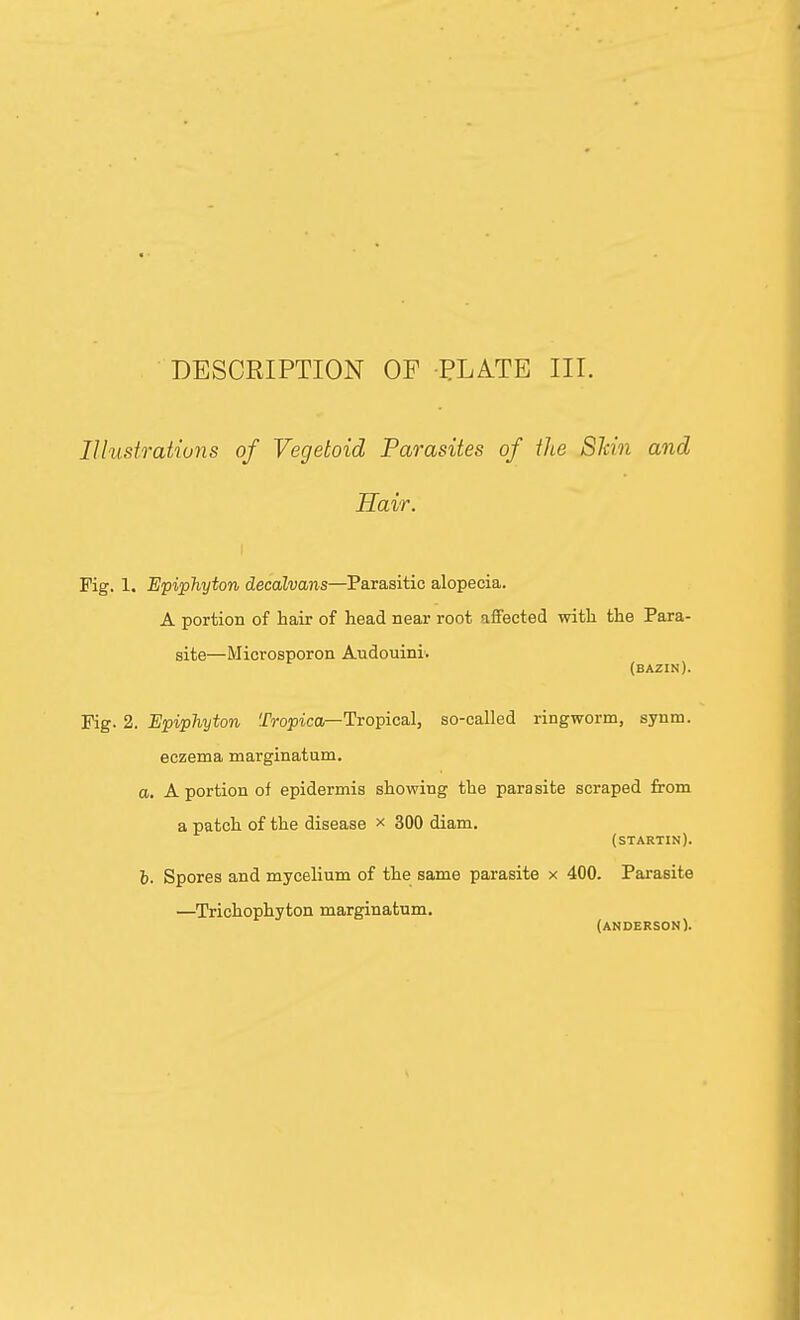 Illustrations of Vegetoid Parasites of the Skin and Hair. Fig. 1. Epiphyton decalvans—Parasitic alopecia. A portion of hair of head near root affected with the Para- site—Microsporon Audouini. (bazin). Fig. 2. Epiphyton Tropica—Tropical, so-called ringworm, synm. eczema marginatum. a. A portion of epidermis showing the parasite scraped from a patch of the disease x 300 diam. (startin). i. Spores and mycelium of the same parasite x 400. Parasite —Trichophyton marginatum. (ANDERSON).