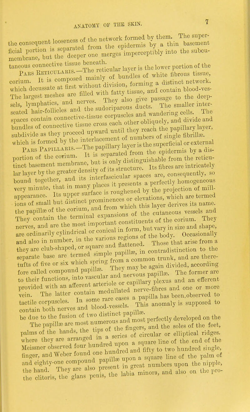 the consent looseness of f^^\^l^ corium. It is compose^^a^™^B distinct network, which decnssate at first witha°nd contain blood-ves- The largest meshes are ^fpassage to the deep- scls, lymphatics, and nerves. They also give 1 , seated hair-follicles and the sndonparo us duet* ^ The spaces contain connective-tissue ^ divide and bundles of connective tissue cross eac °^^b^ the papillary layer, subdivide as they proceed upward ™^w^™VJ> ^ which is formed by the interlacemen of n S ^± S flg p external ^f^^^^SSS^X epidermis by a dis- portion of tte^r-  ^fcCydistinguishable from the reticu- tinct basement membrane, ?«fc » Its fibres are intricately are, consequently, so bound together, and its muu _„_nf_ a perfectly homogeneous very minute, that in many p aces t pr^ b^ete;4otiongof mffi. appearance ^^^^^^^ ^ ions of small but distinct pioui derives its name, the papillae of the coruim, and from which this laye ^ They contain the terminal expansions of *e ontone nerves, and are the most ^P^^^t^ie and shape, are ordinarily cylindricalor conical m ^ ^ Y Occasionally and also in number, in the vanous regions of th^body ^ ^ & they are club-shaped, or square and^flattened. J ^ to the separate base are termed simple trunk and are there- tufts of five or six which spring ^ div'ided, according fore called compound papillae. They^may o g ^ ^ to their functious, into vascular anand an efferent provided with an afferent md one or more Yein. The latter contain medul£d nervefi serYed to tactile corpuscles. In som rare case a p P ^ tQ contain both nerves and blood-jesseis. be due to the fusion of two distinct papill* on ^ The papilla, are most »^ ^he soles of the feet, palms of the hands, the tips oi^ ^ ^ rf ridgeg> where they are arrangedm asenes ^ rf ^ end of the Meissner observed foui bund!_ea. ii] i ^ ^ linger, and Weber found one ^ed and ^ ^ ^ rf and eighty-one compound papill* upo l ^ the hand. They are also J*^* » «^^ and a?so on the pro- the clitoris, the glans penis, the laDia mi ,