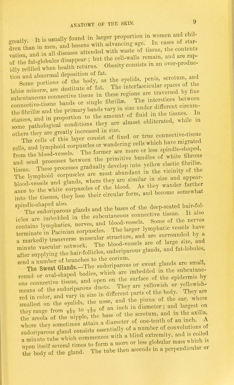 «H v It is usually found in larger proportion in women and cb.il- greatly. It is usual y advancing age. In cases of star- ^sX^^^^^^ °£ tissue' throntents vation, and in ail ulbUl , cell.wails remain, and are rap- f^S^ S£* consists in an ow^dno- tion a1Ml abnormal depos,t,o„ of lat um and Some poAons of the bod5« ^J***^ of tie others they are greatly increased in size. coimective-tissue from the blood-vessels. The iormei arei n i spindle-shaped also. deep-seated hair-fol- The sudoriparous glands and the bases 01 iub i • i I 11 imbedded in the subcutaneous connective tissue It also icles are imbaiaea m VPSSels Some of the nerves contains lymphatics, nerves, and blood ^ vesgels have terminate in Pacinian oorpuso surrounded by a a markedly transverse are of large size, and Xtp^SUS —rous glands, and fat-lobules, ■^^^^^^Sier sweat glands are small, The Sweat Glands -Tbe ^or^aroi: * subcutane- round or oval-shaped bo^s wliich ar imb^ ^ ^ ^ ^ ous connective tissue, and open°\ u ^ or yellowisft. means of the f^^^^^ the body. They are red in color and vary m size m mil o{ ^ ^ smallest on the eyehd,, the nose an^ ^ ^ ^ ^ they range from ^ t0 t d in the axilla, the areola ot the nipple Jho ^ °t ; ^ A where they ^^^SS^ * number of convolutions of sudonparous gland con^ta ^se J ind extremit and is coiled a minute tube which commence m ^ ^ ^ .g ZXXo?Z*\S ascendfin a perpendicular or