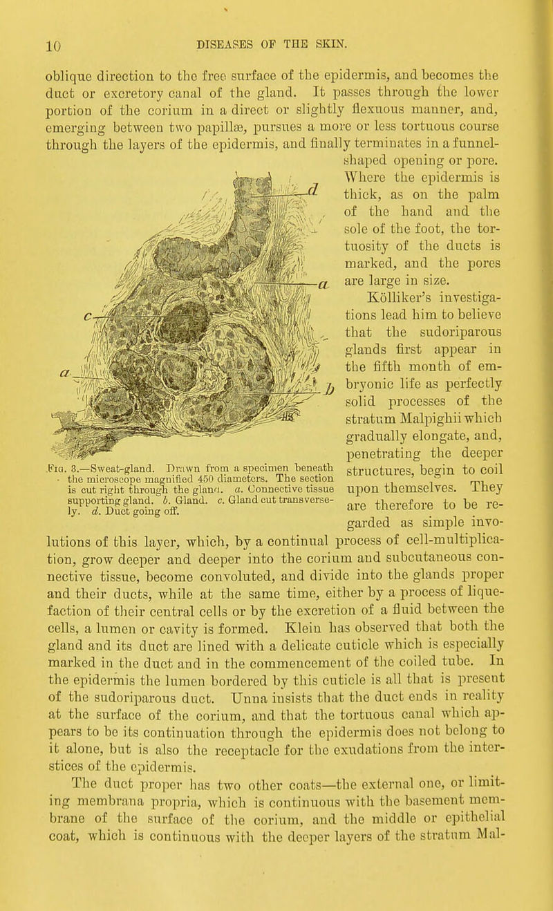 oblique direction to the free surface of the epidermis, and becomes the duct or excretory canal of the gland. It passes through the lower portion of the corium in a direct or slightly flexuous manner, and, emerging between two papillae, pursues a more or less tortuous course through the layers of the epidermis, and fiually terminates in a funnel- shaped opening or pore. Where the epidermis is thick, as on the palm of the hand and the sole of the foot, the tor- tuosity of the ducts is marked, and the pores are large in size. Kolliker's investiga- tions lead him to believe that the sudoriparous glands first appear in the fifth month of em- bryonic life as perfectly solid processes of the stratum Malpighii which gradually elongate, and, penetrating the deeper structures, begin to coil upon themselves. They are therefore to be re- garded as simple invo- lutions of this layer, which, by a continual process of cell-multiplica- tion, grow deeper and deeper into the corium and subcutaneous con- nective tissue, become convoluted, and divide into the glands proper and their ducts, while at the same time, either by a process of lique- faction of their central cells or by the excretion of a fluid between the cells, a lumen or cavity is formed. Klein has observed that both the gland and its duct are lined with a delicate cuticle which is especially marked in the duct and in the commencement of the coiled tube. In the epidermis the lumen bordered by this cuticle is all that is preseut of the sudoriparous duct. TJnna insists that the duct ends in reality at the surface of the corium, and that the tortuous canal which ap- pears to be its continuation through the epidermis does not belong to it alone, but is also the receptacle for the exudations from the inter- stices of the epidermis. The duct proper has two other coats—the external onc\ or limit- ing membrana propria, which is continuous with the basement mem- brane of the surface of the corium, and the middle or epithelial coat, which is continuous with the deeper layers of the stratum Mal- .Fia. 3.—Sweat-gland. Drawn from a specimen beneath • the microscope magnified 450 diameters. The section is cut right through the glano. a. Connective tissue supporting gland, b. Gland, c. Gland cut transverse- ly, d. Duct going off.