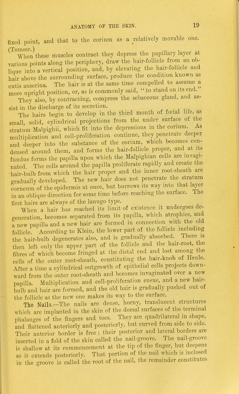 fixed point, and that to the corium as a relatively movable one. (Tomser.) , ... . . When these muscles contract they depress the papillary layer at various points along the periphery, draw the hair-follicle from an ob- lique into a vertical position, and, by elevating the hair-follicle and hair above the surrounding surface, produce the conditaon known as cutis anserina. The hair is at the same time compelled to assume a more upright position, or, as is commonly said, to stand on its end. They also, by contracting, compress the sebaceous gland, and as- sist in the discharge of its secretion. The hairs begin to develop in the third month of foetal lite, as small, solid, cylindrical projections from the under surface of the stratum Malpighii, which fit into the depressions in the corium As multiplication and cell-proliferation continue, they penetrate deeper and deeper into the substance of the corium, which becomes con- densed around them, and forms the hair-follicle proper, and at its fundus forms the papilla upon which the Malpighian cells are mvagi- nated The cells around the papilla proliferate rapidly and create the hair-bulb from which the hair proper and the inner root-sheath are gradually developed. The new hair does not penetrate the stratum corneum of the epidermis at once, but burrows its way into that layer in an oblique direction for some time before reaching the surface. The first hairs are always of the lanugo type. When a hair has reached its limit of existence it undergoes de- generation, becomes separated from its papilla, which atrophies, and a new papilla and a new hair are formed in connection with the old follicle. According to Klein, the lower part of the follicle including the hair-bulb degenerates also, and is gradually absorbed. There is then left only the upper part of the follicle and the hair-root, the fibres of which become fringed at the distal end and lost among the cells of the outer root-sheath, constituting the hair-knob of Henle. After a time a cylindrical outgrowth of epithelial cells projects down- ward from the outer root-sheath and becomes invagmated over a new papilla. Multiplication and cell-proliferation ensue, and a new hair- bulb and hair are formed, and the old hair is gradually pushed out of the follicle as the new one makes its way to the surface. The Nails—The nails are dense, horny, translucent structures which are implanted in the skin of the dorsal surfaces of the terminal phalanges' of the fingers and toes. They are quadrilateral m shape, and flattened anteriorly and posteriorly, but curved from side to side. Their anterior border is free ; their posterior and lateral borders are inserted in a fold of the skin called the nail-groove. The nail-groove is shallow at its commencement at the tip of the finger, but deepens as it extends posteriorly. That portion of the nail which is inclosed in the groove is called'the root of the nail, the remainder constitutes