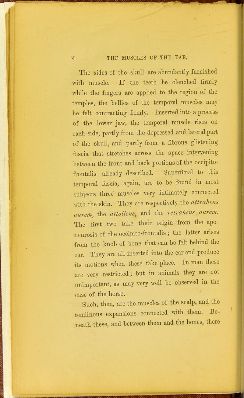 The sides of the skull are abundantly furnished with muscle. If the teeth be clenched firmly while the fingers are applied to the region of the temples, the bellies of the temporal muscles may be felt contracting firmly. Inserted into a process of the lower jaw, the temporal muscle rises on each side, partly from the depressed and lateral part of the skull, and partly from a fibrous glistening fascia that stretches across the space intervening between the front and back portions of the occipito- frontalis already described. Superficial to this temporal fascia, again, are to be found in most subjects three muscles very intimately connected with the skin. They are respectively the attrahens aurem, the attollens, and the retrahens aurem. The first two take their origin from the apo- neurosis of the occipito-frontalis; the latter arises from the knob of bone that can be felt behind the ear. They are all inserted into the ear and produce its motions when these take place. In man these are very restricted; but in animals they are not unimportant, as may very well be observed in the case of the horse. Such, then, are the muscles of the scalp, and the tendinous expansions connected with them. Be- neath these, and between them and the bones, there