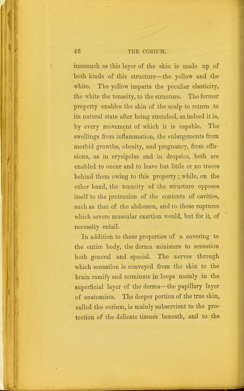 inasmuch as this layer of the skin is made up of both kinds of this structure—the yellow and the white. The yellow imparts the peculiar elasticity, the white the tenacity, to the structure. The former property enables the skin of the scalp to return to its natural state after being stretched, as indeed it is, by every movement of which it is capable. The swellings from inflammation, the enlargements from morbid growths, obesity, and pregnancy, from effu- sions, as in erysipelas and in dropsies, both are enabled to occur and to leave but little or no traces behind them owing to this property ; while, on the other hand, the tenacity of the structure opposes itself to the protrusion of the contents of cavities, such as that of the abdomen, and to those ruptures which severe muscular exertion would, but for it, of necessity entail. In addition to these properties of a covering to the entire body, the derma ministers to sensation both general and special. The nerves through which sensation is conveyed from the skin to the brain ramify and terminate in loops mainly in the superficial layer of the derma—the papillary layer of anatomists. The deeper portion of the true skin, called the corium, is mainly subservient to the pro- tection of the delicate tissues beneath, and to the