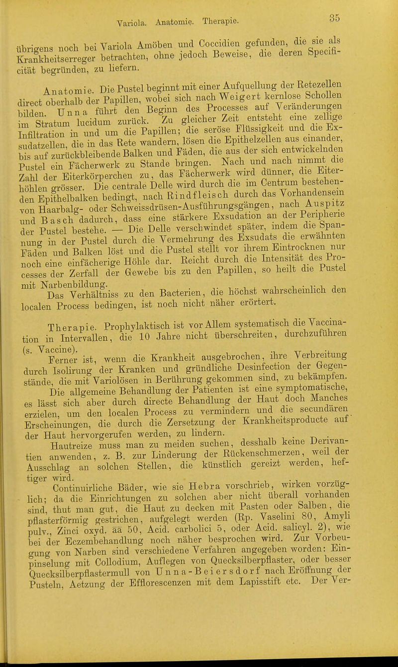 übrigens noch bei Variola Amöben und Coccidien gefunden, die sie als SäffiSSr^ betrachten, ohne jedoch Beweise, die deren Specin- cität begründen, zu liefern. Anatomie. Die Pustel beginnt mit einer Aufquellung der Retezellen direct obernaS c r Papillen, wobei sich nach Weigert kernlose Schollen duect obeinaiD ±> ^ Processes auf Veränderungen Äa^ kiS i Zu gleicher Zeit entsteht eine zellige Infiltm ion in und um die Papillen; die seröse Flüssigkeit und die Ex- sudatzeC, die in das Rete wandern, lösen die EpithelzeUen aus einander, oifauf zurückbleibende Balken und Fäden, die aus der sich entwickelnden PusSf ein Fächerwerk zu Stande bringen. Nach und nach nimmt d e Zahl der Eiterkörperchen zu, das Fächerwerk wird dunner, die Eis- höhlen grösser. Die centrale Delle wird durch die im Centrum bestehen- den Epithelbalken bedingt, nach Rindfleisch durch das Vorhandensein von Haarbalg- oder Schweissdrüsen-Ausführungsgängen, nach Auspitz und BaschDdadurch, dass eine stärkere Exsudation an der Peripherie der Pustel bestehe. — Die Delle verschwindet später, indem die Span- nung in der Pustel durch die Vermehrung des Exsudats die erwähnten Fädln und Balken löst und die Pustel stellt vor ihrem Eintrocknen nur noch eine einfächerige Höhle dar. Reicht durch die Intensität. dess Pro- cesses der Zerfall der Gewebe bis zu den Papillen, so heilt die Pustel mit Narbenbildung. i x. • jq„ Das Verhältniss zu den Bactenen, die höchst wahrscheinlich den localen Process bedingen, ist noch nicht näher erörtert. Therapie. Prophylaktisch ist vor Allem systematisch die Vaccina- tion in Intervallen, die 10 Jahre nicht überschreiten, durchzuführen (S VFerner ist, wenn die Krankheit ausgebrochen, ihre Verbreitung durch Isolirung der Kranken und gründliche Desinfection der Gegen- stände, die mit Variolösen in Berührung gekommen sind, zu bekampien. Die aUgemeine Behandlung der Patienten ist eine symptomatische, es lässt sich aber durch directe Behandlung der Haut doch Manches erzielen, um den localen Process zu vermindern und die secimdaren Erscheinungen, die durch die Zersetzung der Krankheitsproducte auf der Haut hervorgerufen werden, zu lindern. t. Hautreize muss man zu meiden suchen, desshalb keine Derivan- tien anwenden, z. B. zur Linderung der Rückenschmerzen, weil der Ausschlag an solchen SteUen, die künstlich gereizt werden, het- tiger wird. . , Continuirliche Bäder, wie sie Hebra vorschrieb, wirken vorzug- lich; da die Einrichtungen zu solchen aber nicht überall vorhanden sind, thut man gut, die Haut zu decken mit Pasten oder Salben die pflasterförmig gestrichen, aufgelegt werden (Rp. Vaselmi 80, Amyli pulv., Zinci oxyd. ää 50, Acid. carbolici 5, oder Acid. salicyl. 2), wie bei der Eczembehandlung noch näher besprochen wird. Zur Vorbeu- gung von Narben sind verschiedene Verfahren angegeben worden: Em- pinselung mit Collodium, Auflegen von Quecksilberpflaster, oder besser Quecksilberpflastermull von Unna-Beiersdorf nach Eröffnung der Pusteln, Aetzung der Efflorescenzen mit dem Lapisstift etc. Der Ver-