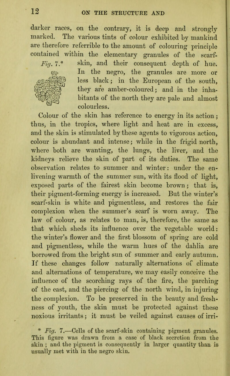 darker races, on the contrary, it is deep and strongly marked. The various tints of colour exhibited by mankind are therefore referrible to the amount of colouring principle contained within the elementary granules of the scarf- Fig. 1* skin, and their consequent depth of hue. In the negro, the granules are more or less black; in the European of the south, they are amber-coloured; and in the inha- bitants of the north they are pale and almost colourless. Colour of the skin has reference to energy in its action; thus, in the tropics, where light and heat are in excess, and the skin is stimulated by these agents to vigorous action, colour is abundant and intense; while in the frigid north, where both are wanting, the lungs, the liver, and the kidneys relieve the skin of part of its duties. The same observation relates to summer and winter: under the en- livening warmth of the summer sun, with its flood of light, exposed parts of the fairest skin become brown; that is, their pigment-forming energy is increased. But the winter's scarf-skin is white and pigmentless, and restores the fair complexion when the summer's scarf is worn away. The law of colour, as relates to man, is, therefore, the same as that which sheds its influence over the vegetable world: the winter's flower and the first blossom of spring are cold and pigmentless, while the warm hues of the dahlia are borrowed from the bright sun of summer and early autumn. If these changes follow naturally alternations of climate and alternations of temperature, we may easily conceive the influence of the scorching rays of the fire, the parching of the east, and the piercing of the north wind, in injuring the complexion. To be preserved in the beautj' and fresh- ness of youth, the skin must be protected against these noxious irritants; it must be veiled against causes of irri- * Fig. 7.—Cells of the scarf-skin containing pigment granules. This figure was drawn from a case of black secretion from the skin ; and the pigment is consequently in larger quantity than is usually met with in the negro skin.