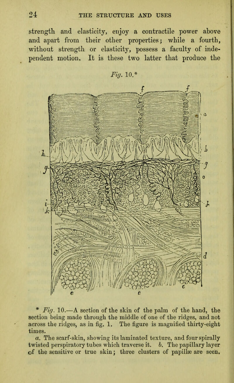 strength and elasticity, enjoy a contractile power above and apart from their other properties; while a fourth, without strength or elasticity, possess a faculty of inde- pendent motion. It is these two latter that produce the Fig. 10.* * Fig. 10.—A section of the skin of the palm of the hand, the section being made through the middle of one of the ridges, and not across the ridges, as in fig. 1. The figure is magnified thirty-eight times. a. The scarf-skin, showing its laminated texture, and four spirally twisted perspiratory tubes which traverse it. h. The papillary layer of the sensitive or true skin; three clusters of papillae are seen.