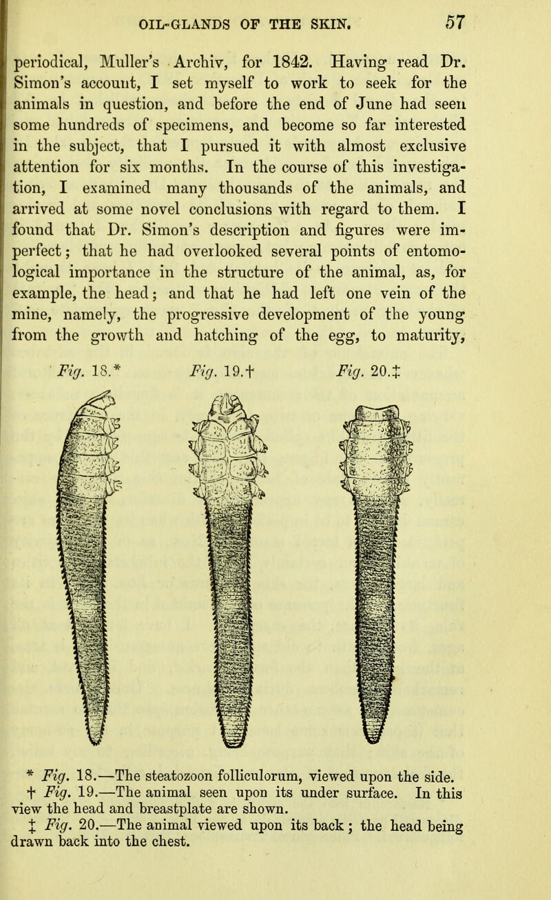 periodical, Muller's Archiv, for 1842. Having read Dr. Simon's account, I set myself to work to seek for the animals in question, and before the end of June had seen some hundreds of specimens, and become so far interested in the subject, that I pursued it with almost exclusive attention for six months. In the course of this investiga- tion, I examined many thousands of the animals, and arrived at some novel conclusions with regard to them. I found that Dr. Simon's description and figures were im- perfect ; that he had overlooked several points of entomo- logical importance in the structure of the animal, as, for example, the head; and that he had left one vein of the mine, namely, the progressive development of the young from the growth and hatching of the egg, to maturity, Fig. 18.* Firj. 19.+ Fig. 20. J * Fig. 18.—The steatozoon folliculorum, viewed upon the side. + Fig. 19.—The animal seen upon its under surface. In this view the head and breastplate are shown. X Fig. 20.—The animal viewed upon its back ; the head being drawn back into the chest.