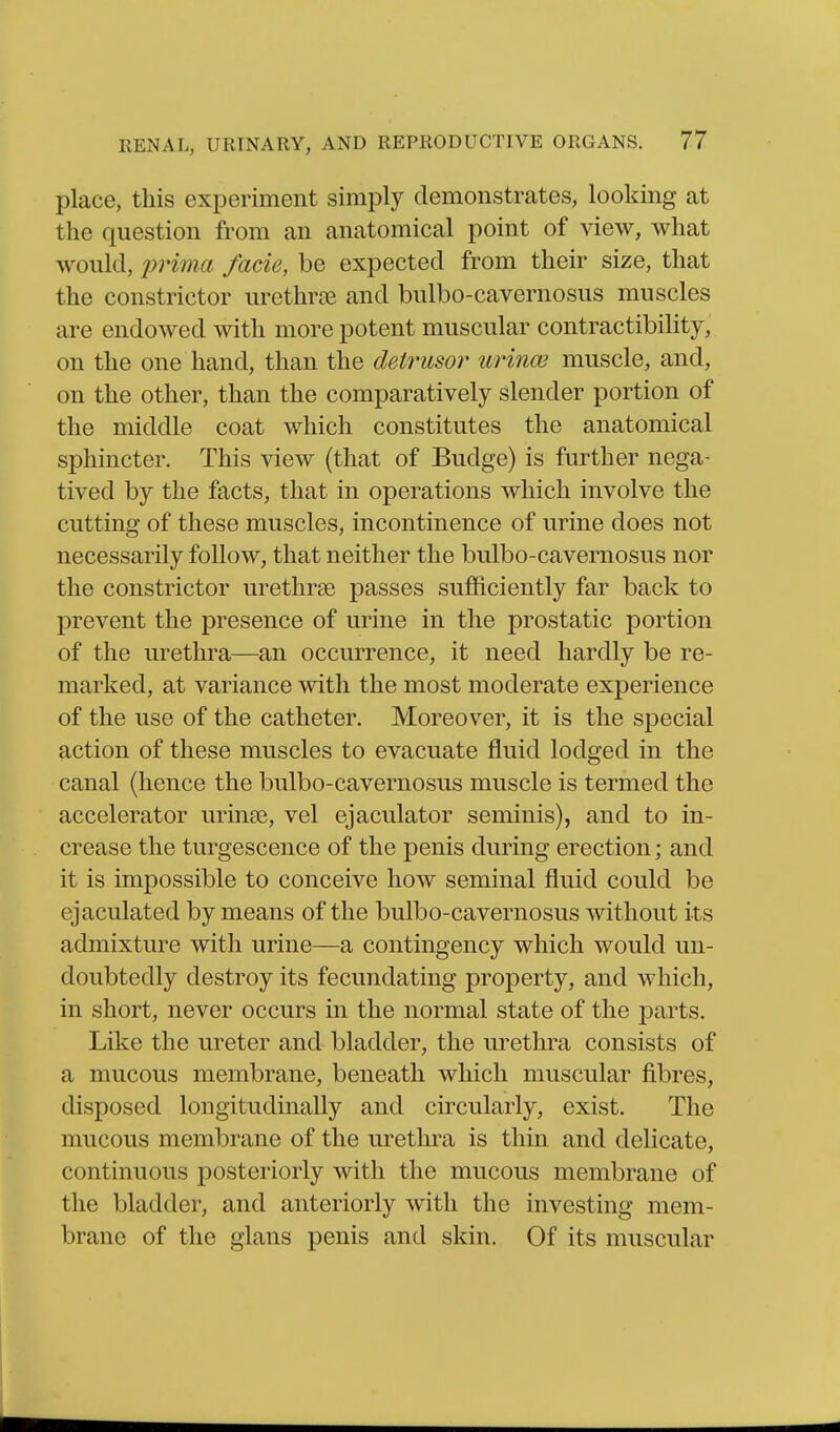 place, this experiment simply demonstrates, looking at the question from an anatomical point of view, what would, fade, be expected from their size, that the constrictor urethras and bulbo-cavernosus muscles are endowed with more potent muscular contractibility, on the one hand, than the detrusor urince muscle, and, on the other, than the comparatively slender portion of the middle coat which constitutes the anatomical sphincter. This view (that of Budge) is further nega- tived by the facts, that in operations which involve the cutting of these muscles, incontinence of urine does not necessarily follow, that neither the bulbo-cavernosus nor the constrictor urethrse passes sufficiently far back to prevent the presence of urine in the prostatic portion of the urethra—an occurrence, it need hardly be re- marked, at variance with the most moderate experience of the use of the catheter. Moreover, it is the special action of these muscles to evacuate fluid lodged in the canal (hence the bulbo-cavernosus muscle is termed the accelerator urinee, vel ejaculator seminis), and to in- crease the turgescence of the penis during erection; and it is impossible to conceive how seminal fluid could be ejaculated by means of the bulbo-cavernosus without its admixture with urine—a contingency which would un- doubtedly destroy its fecundating property, and which, in short, never occurs in the normal state of the parts. Like the ureter and bladder, the urethra consists of a mucous membrane, beneath which muscular fibres, disposed longitudinally and circularly, exist. The mucous membrane of the urethra is thin and delicate, continuous posteriorly with the mucous membrane of the bladder, and anteriorly with the investing mem- brane of the glans penis and skin. Of its muscular